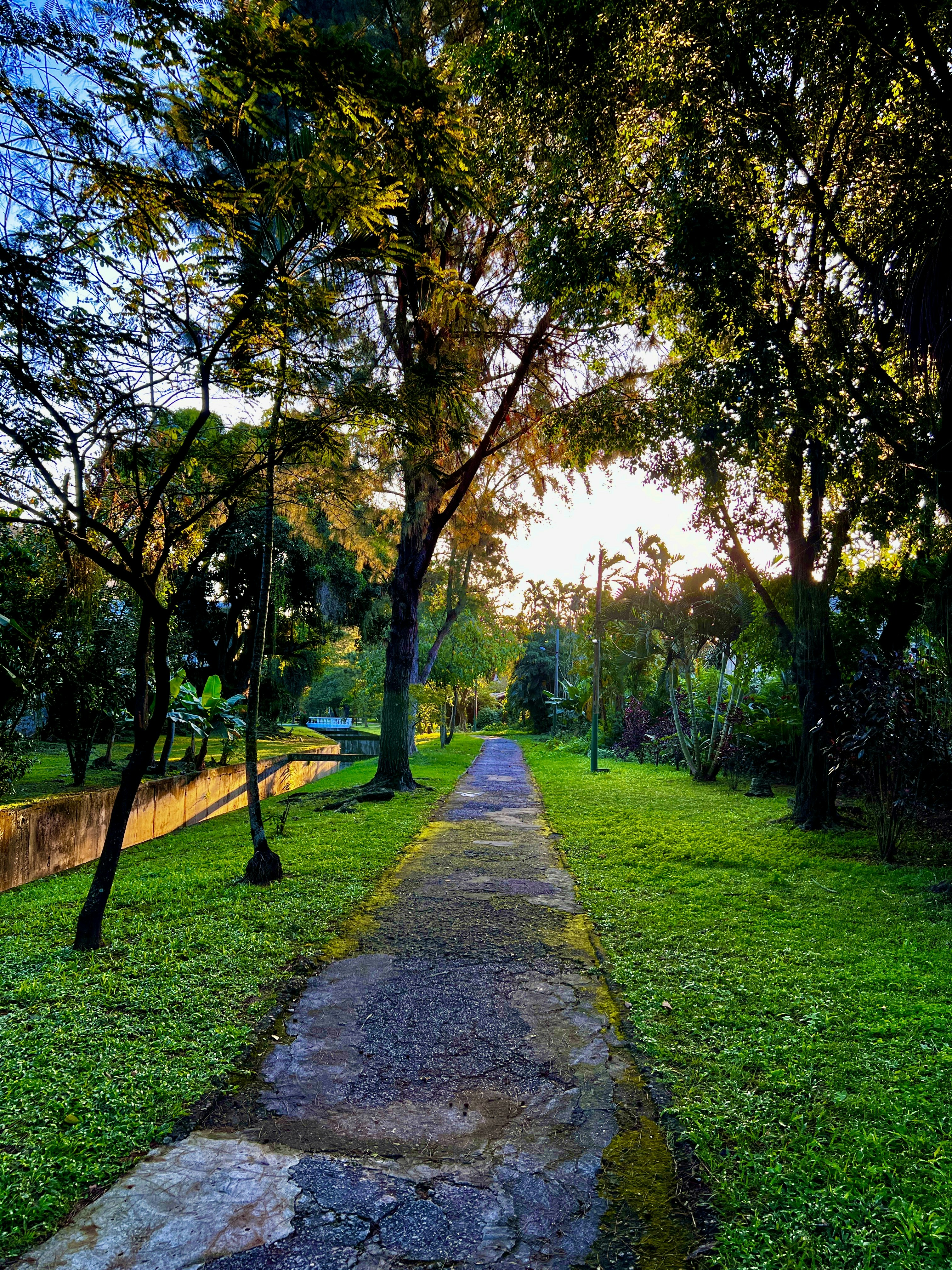 Photo by xanddyamorym