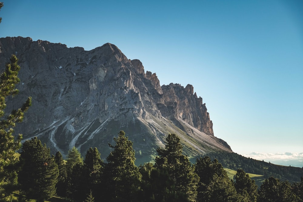 a mountain with trees below