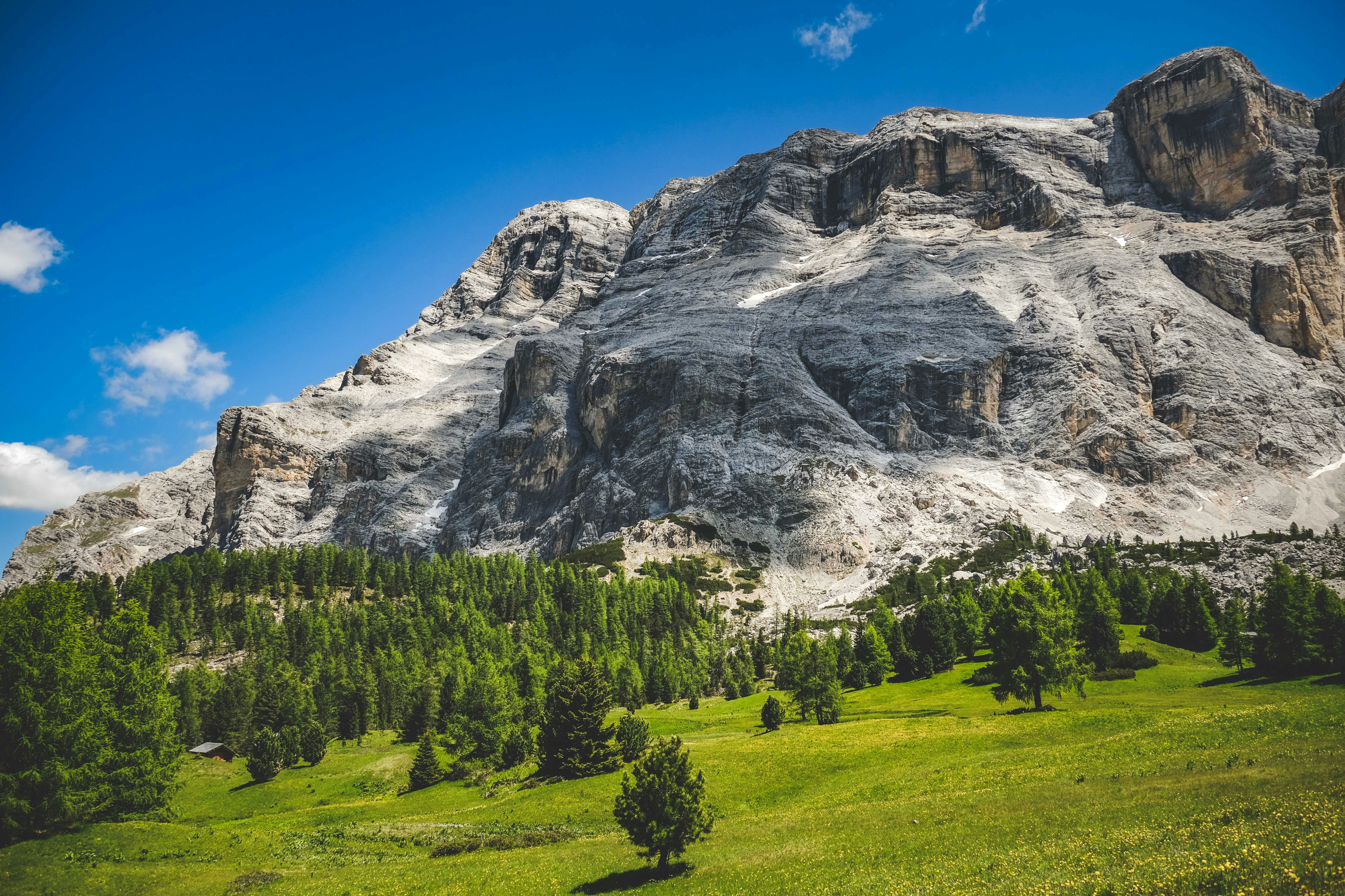 Photo by francesco_ungaro