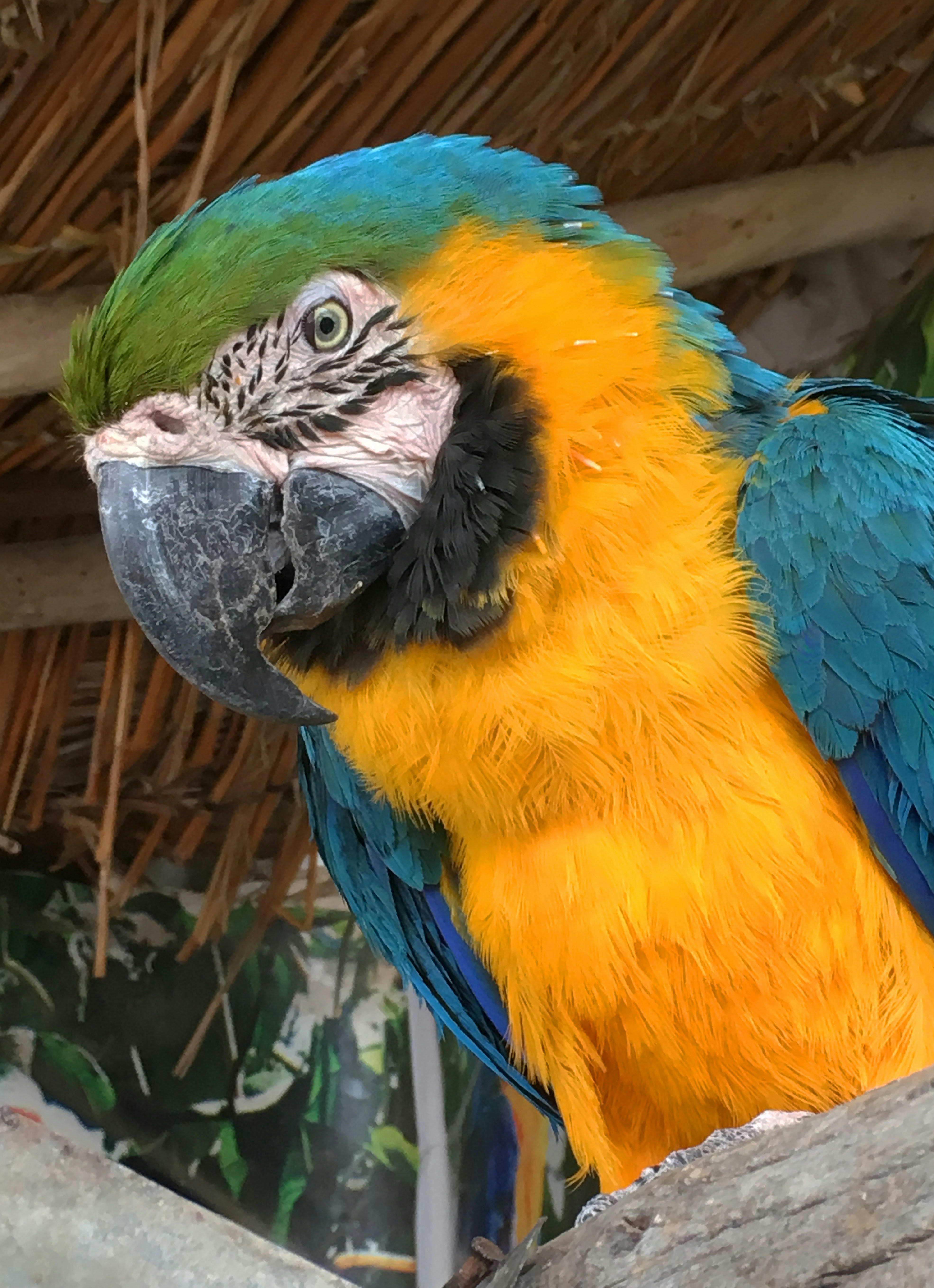 Photo by sohailai_darwesh