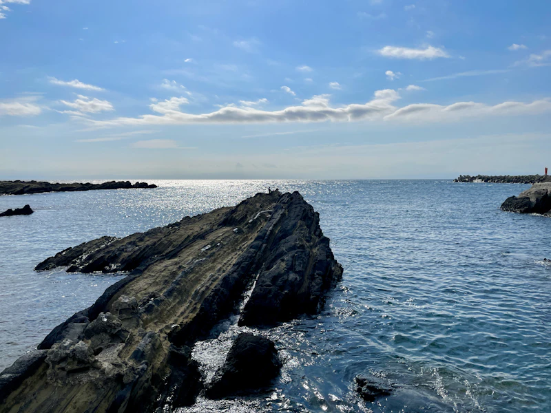 横須賀市の岩場と海岸
