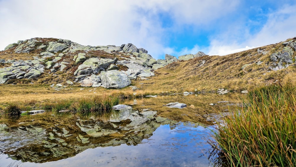 ein Bach, der durch eine Rasenfläche fließt