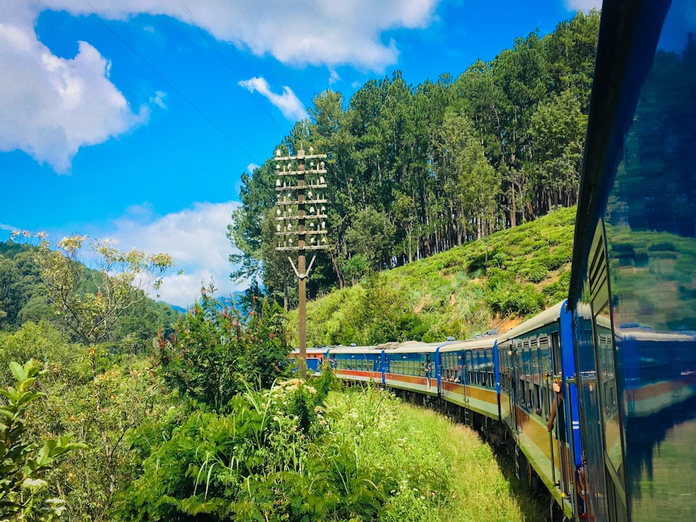 a train going through a forest