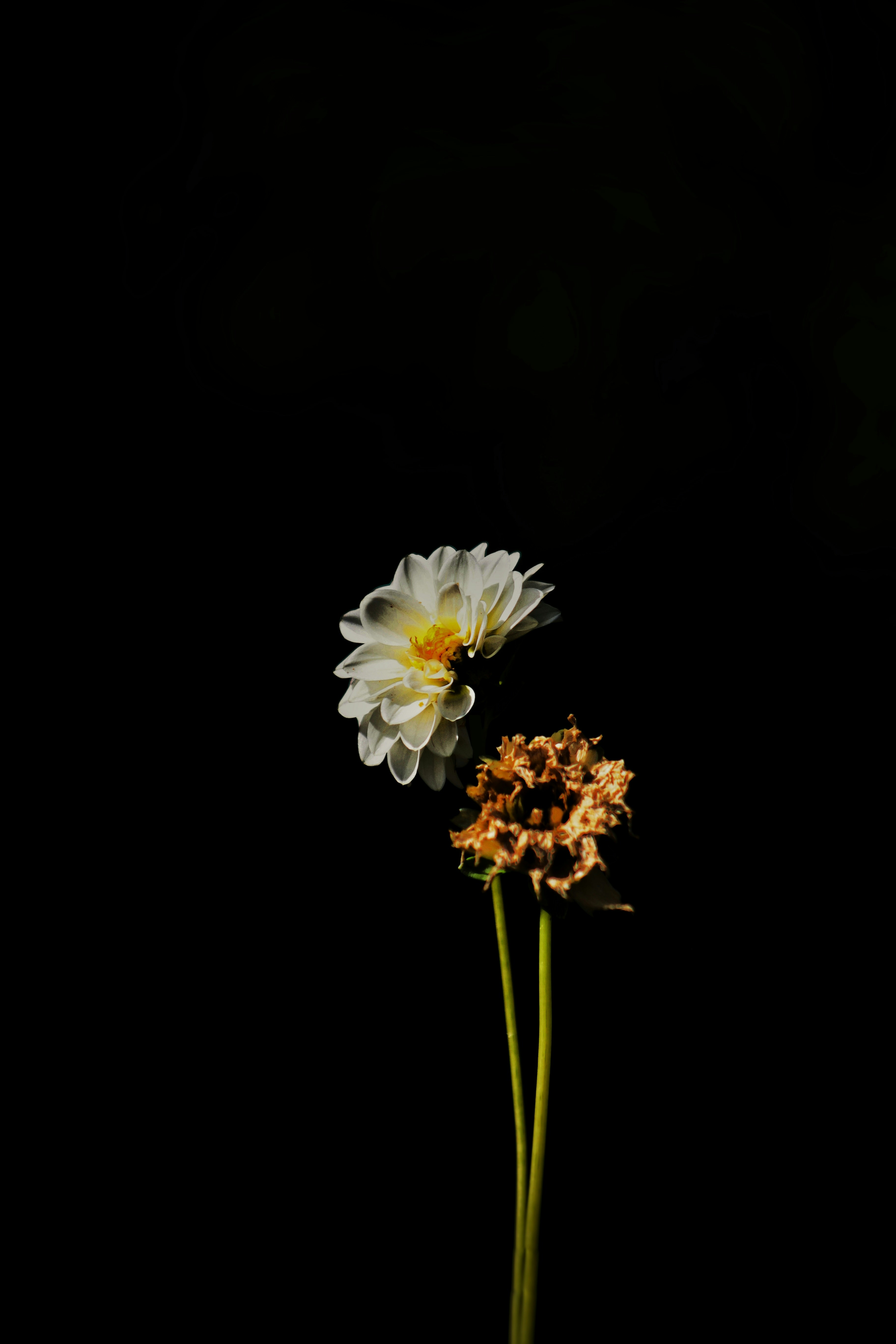 Photo by joshua_hoehne