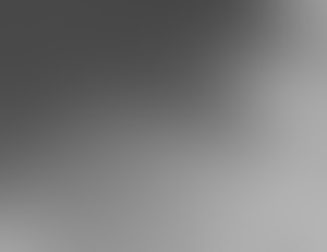 Gray Laminate