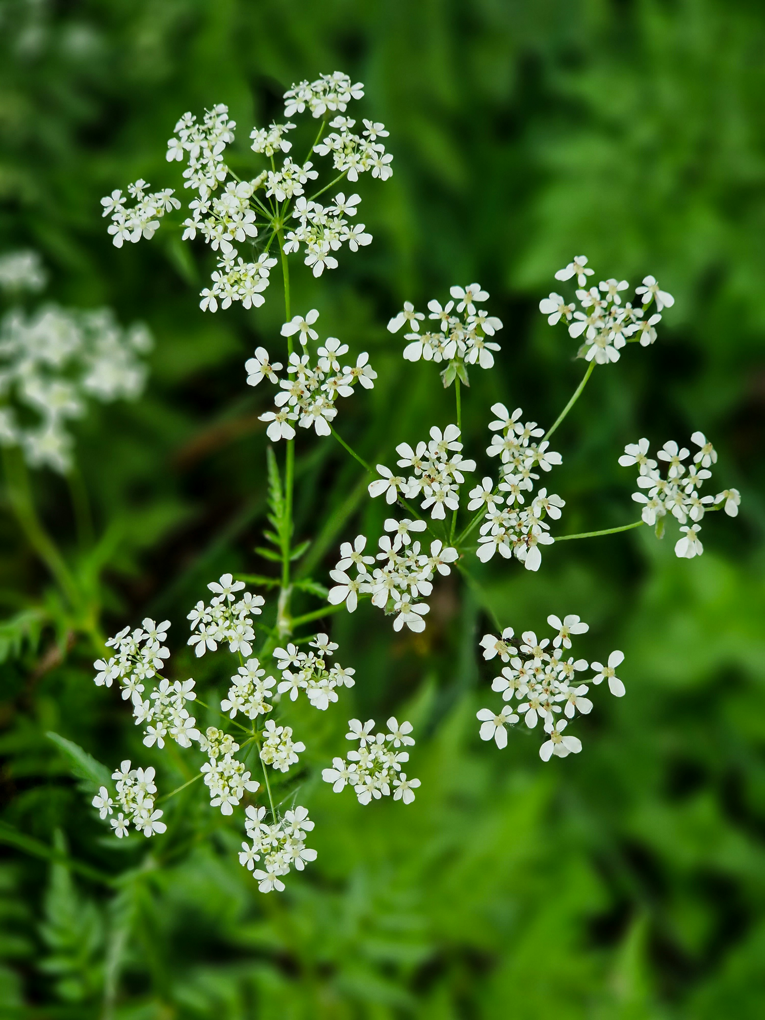 Photo by meshaal_hajali