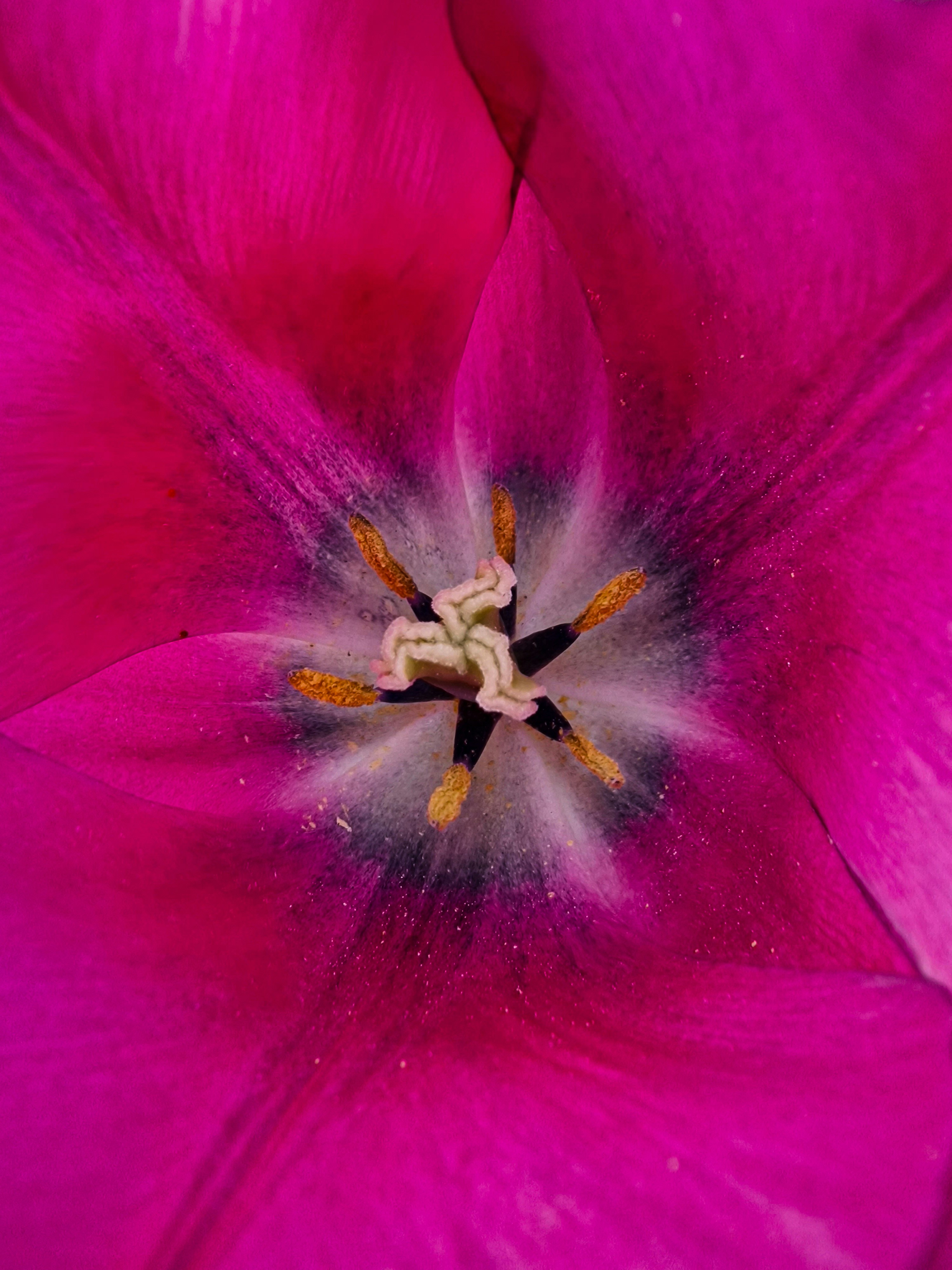 Photo by meshaal_hajali