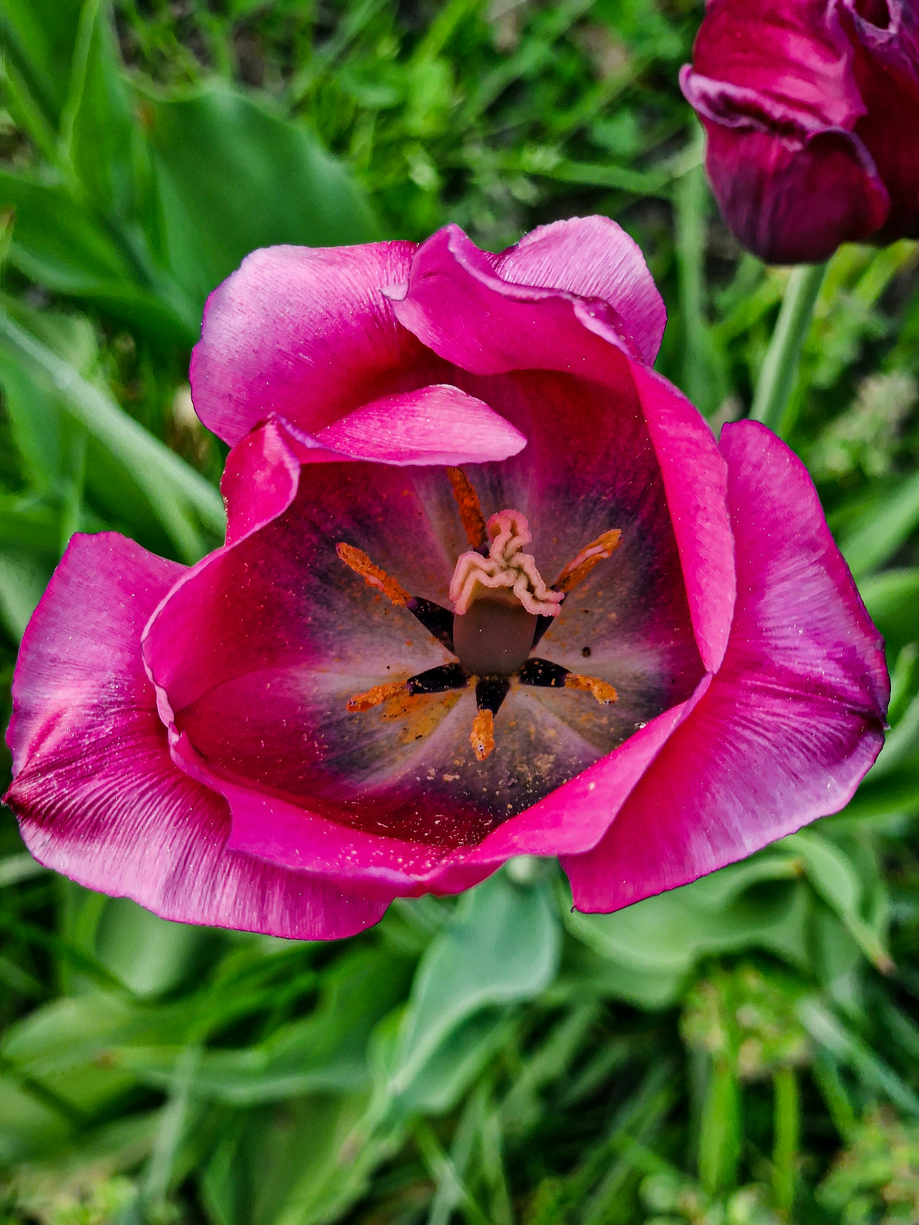 Photo by meshaal_hajali