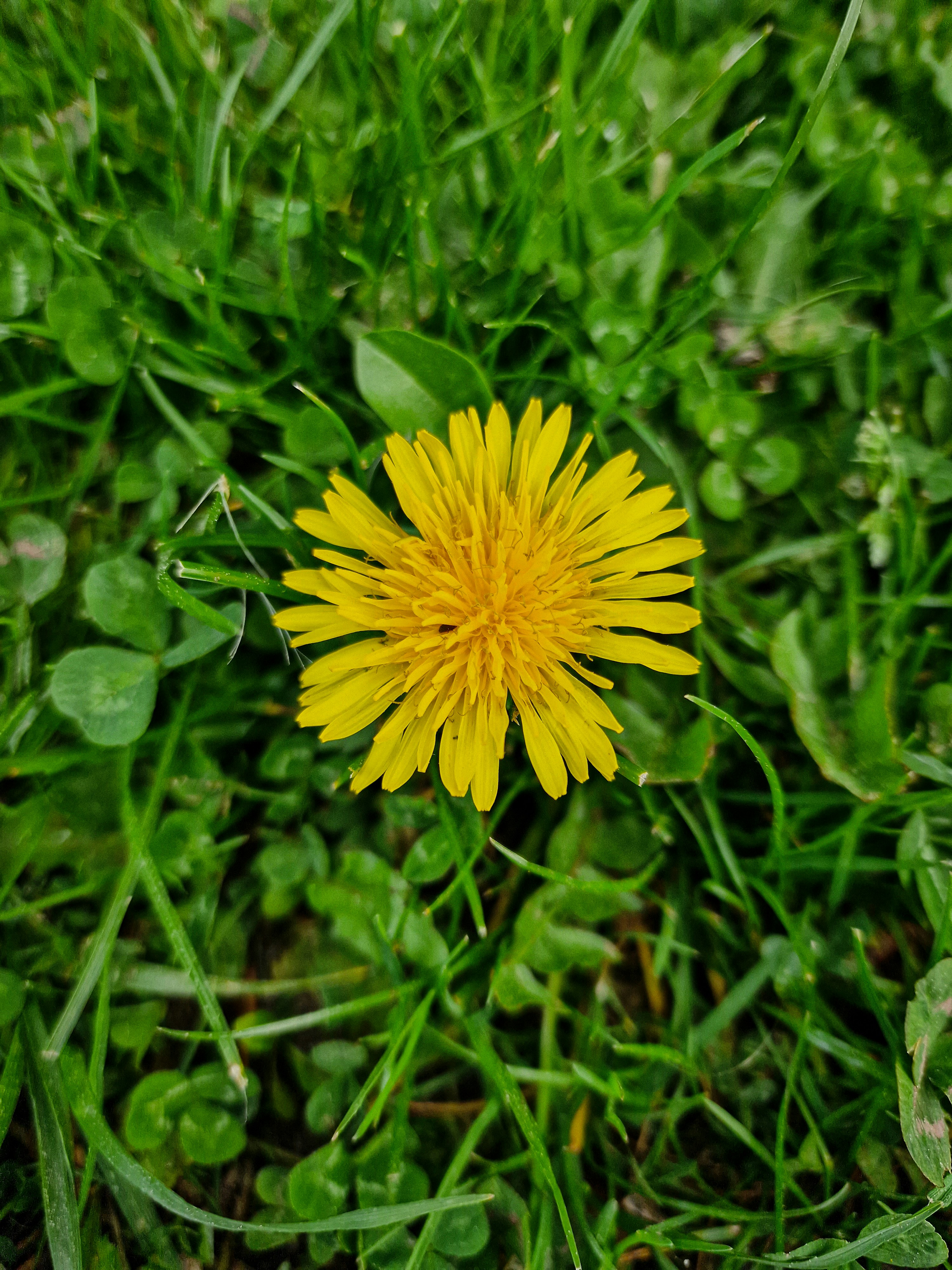 Photo by meshaal_hajali