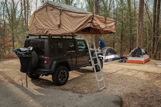 a van with a tent and a ladder in front of it