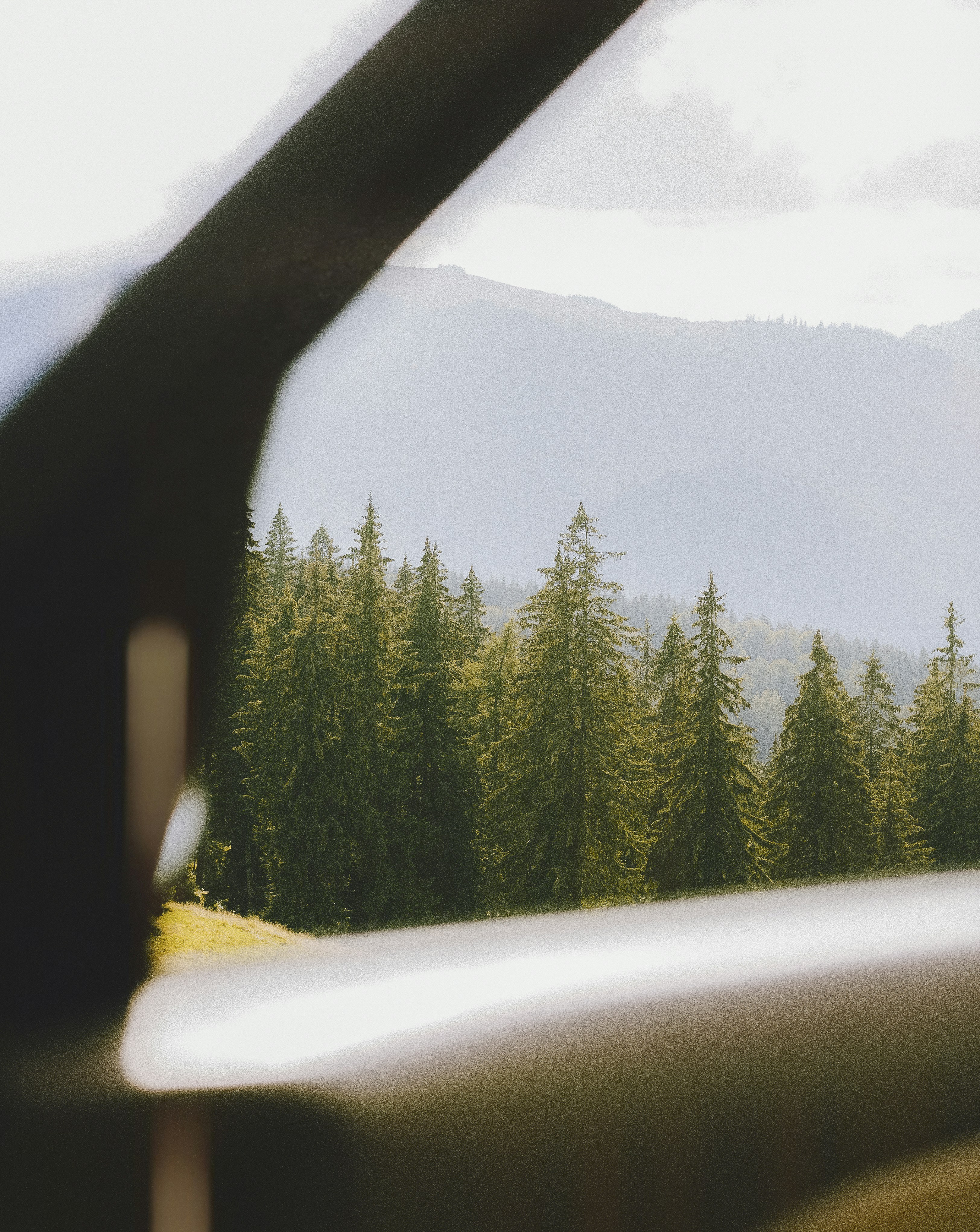 Una vista de un bosque desde la ventana de un coche foto – Imagen de Fondo  de pantalla gratuita en Unsplash, image size:3000x3771