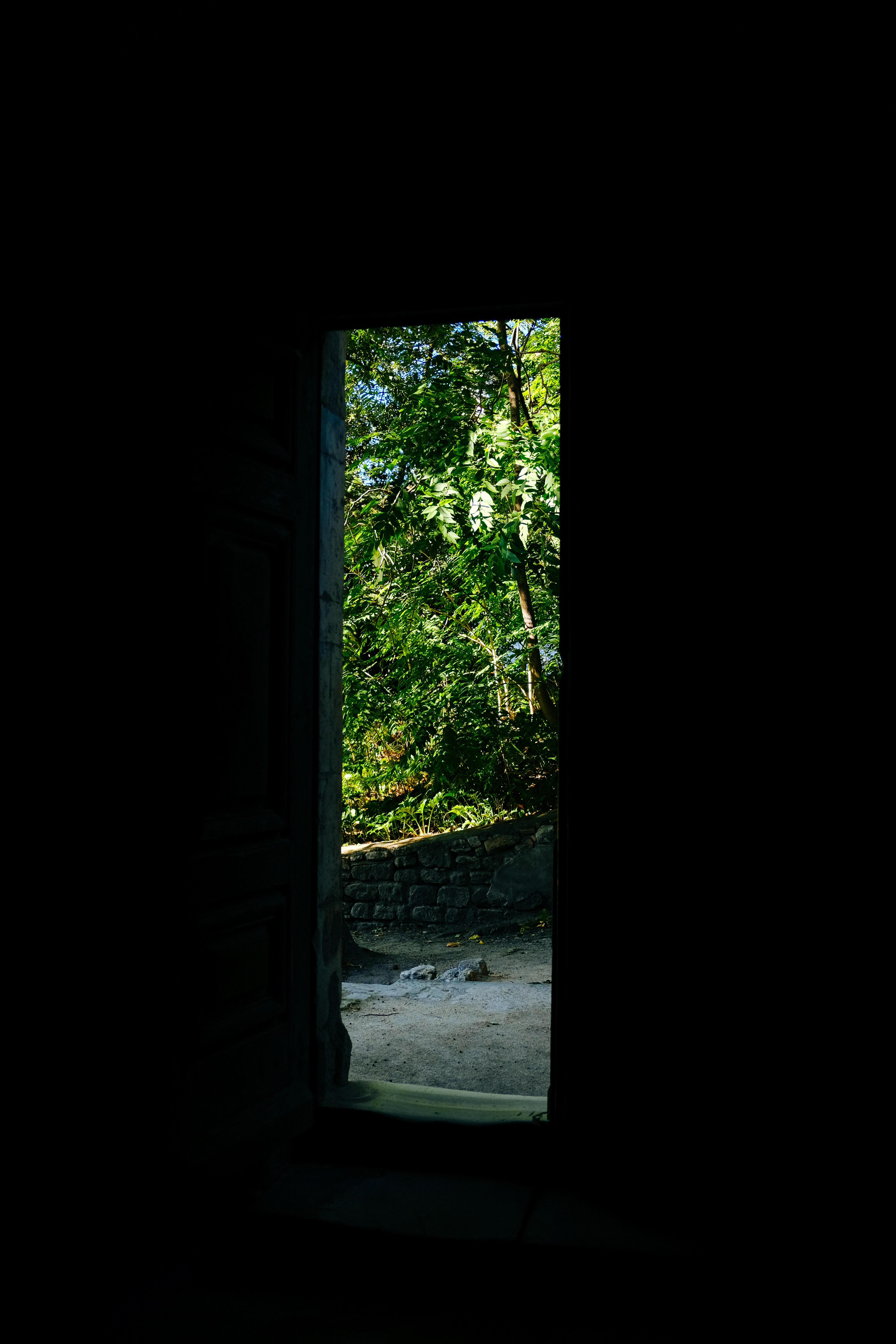 Photo by adrienolichon