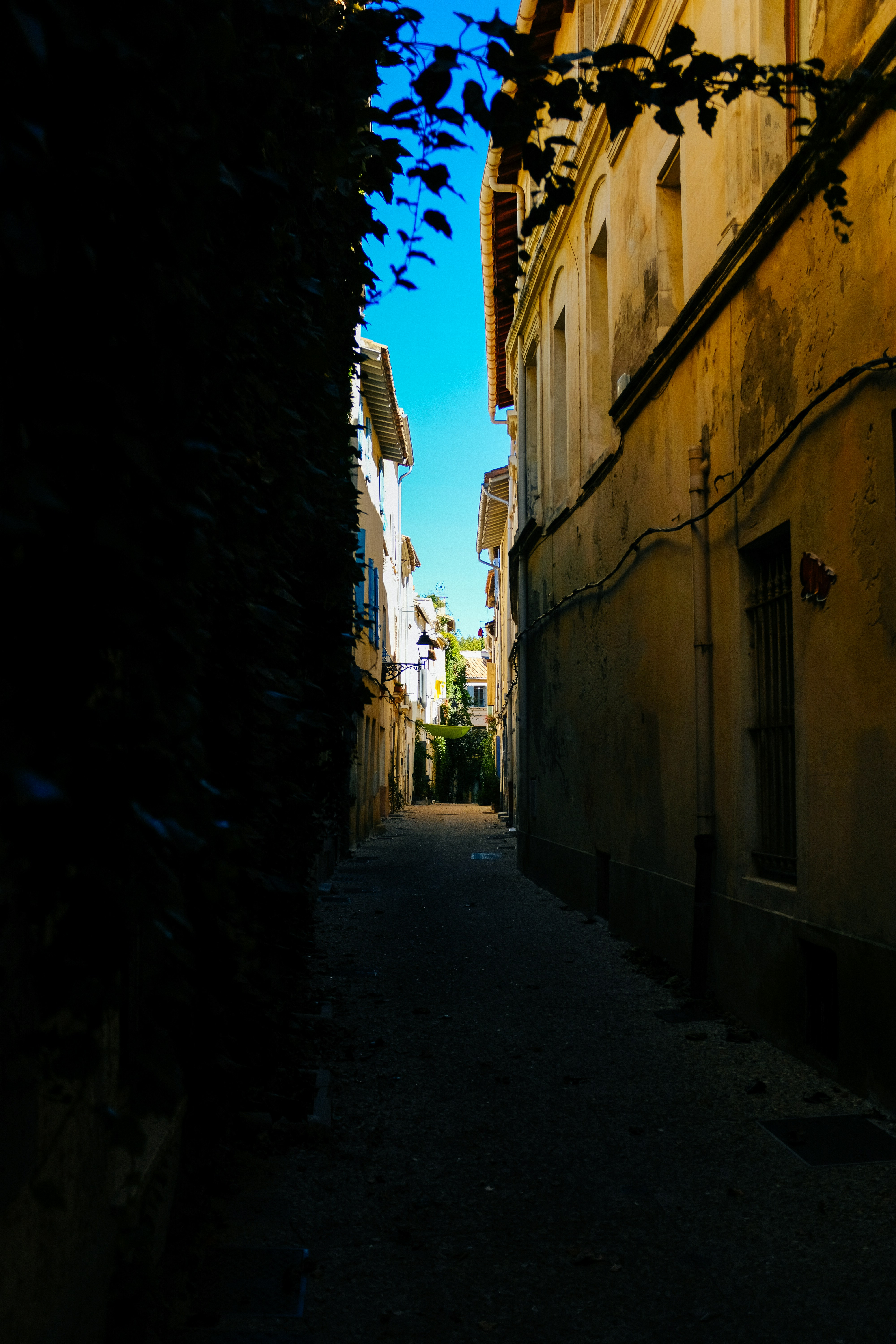 Photo by adrienolichon