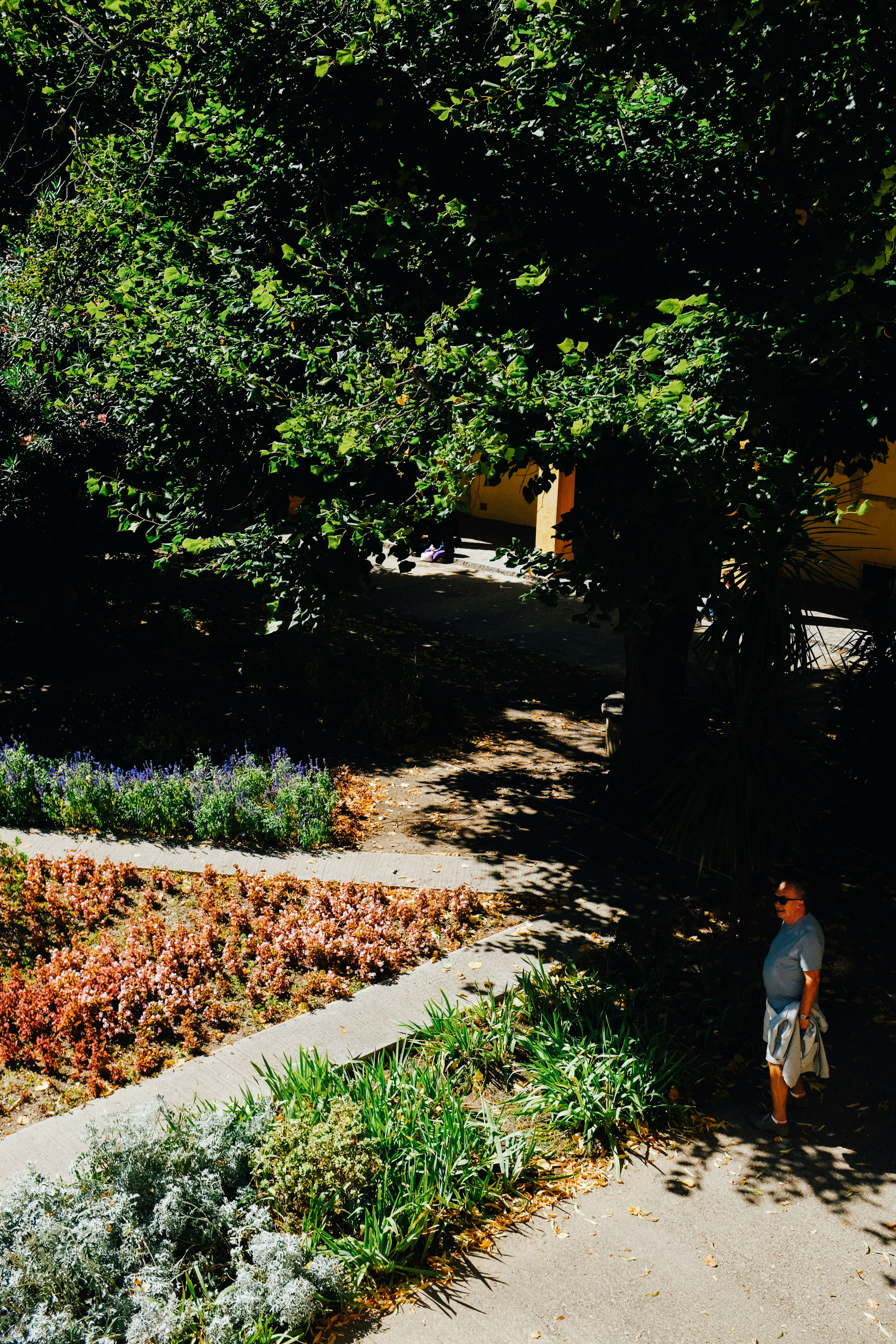 Photo by adrienolichon