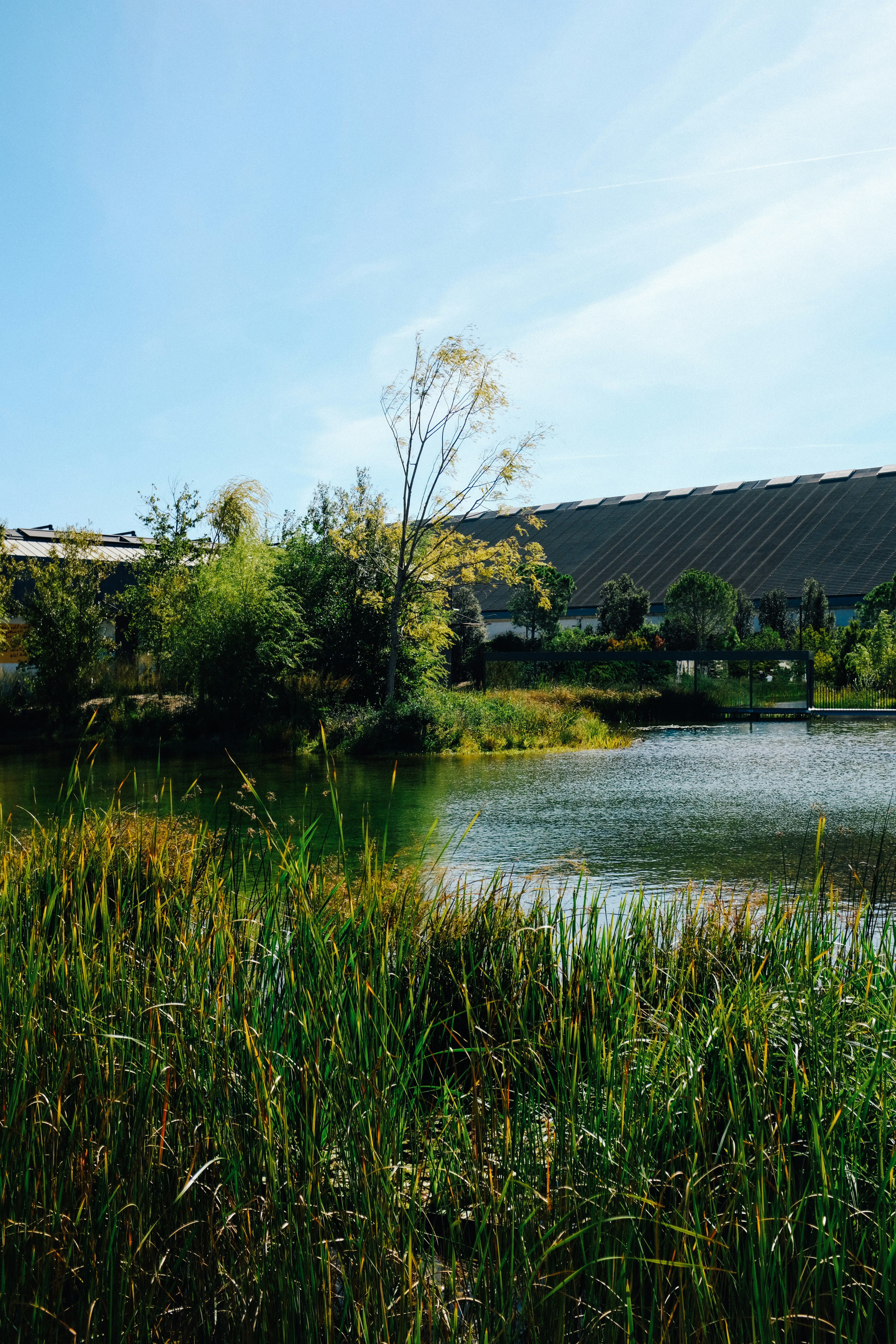 Photo by adrienolichon