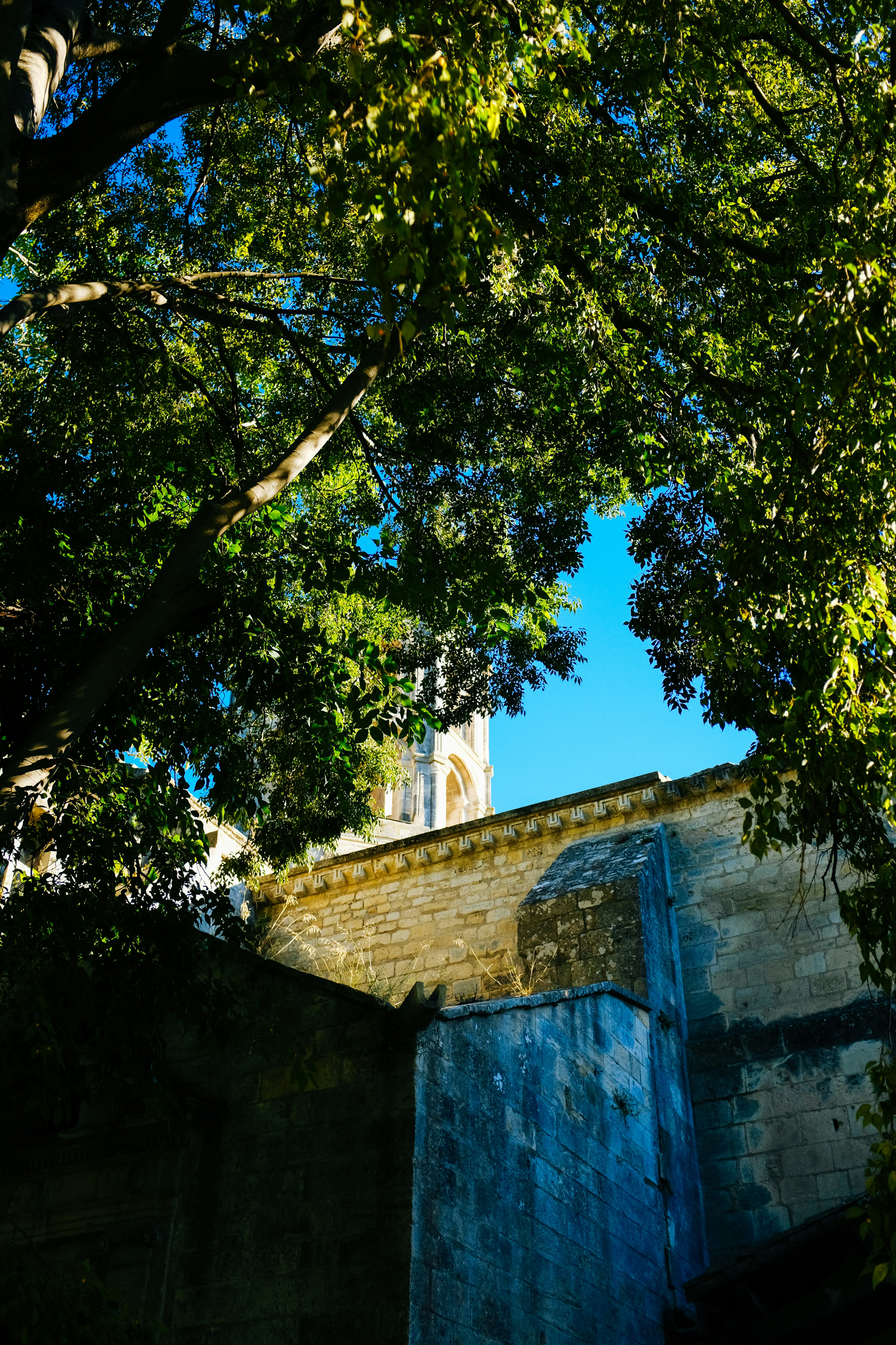 Photo by adrienolichon