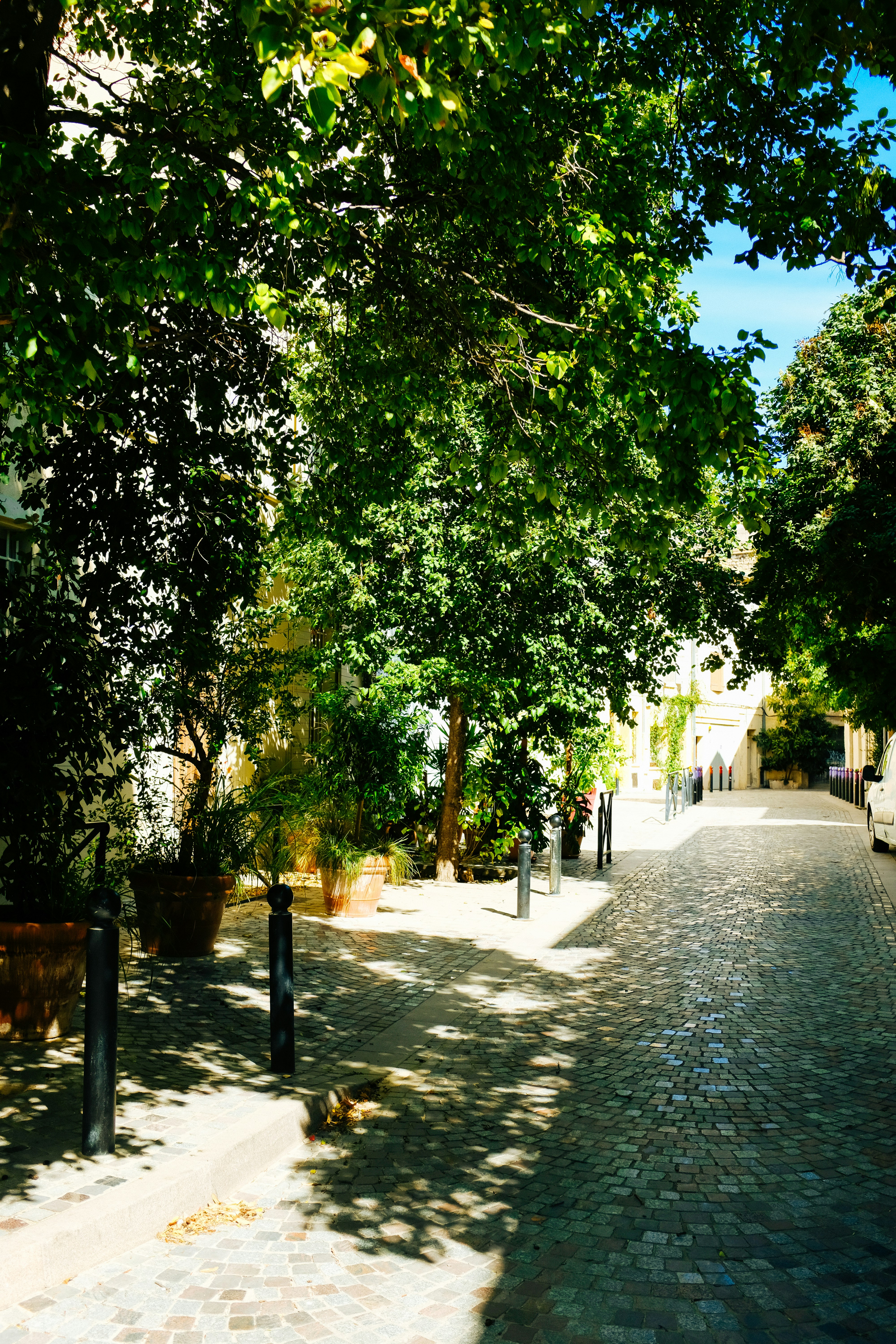 Photo by adrienolichon