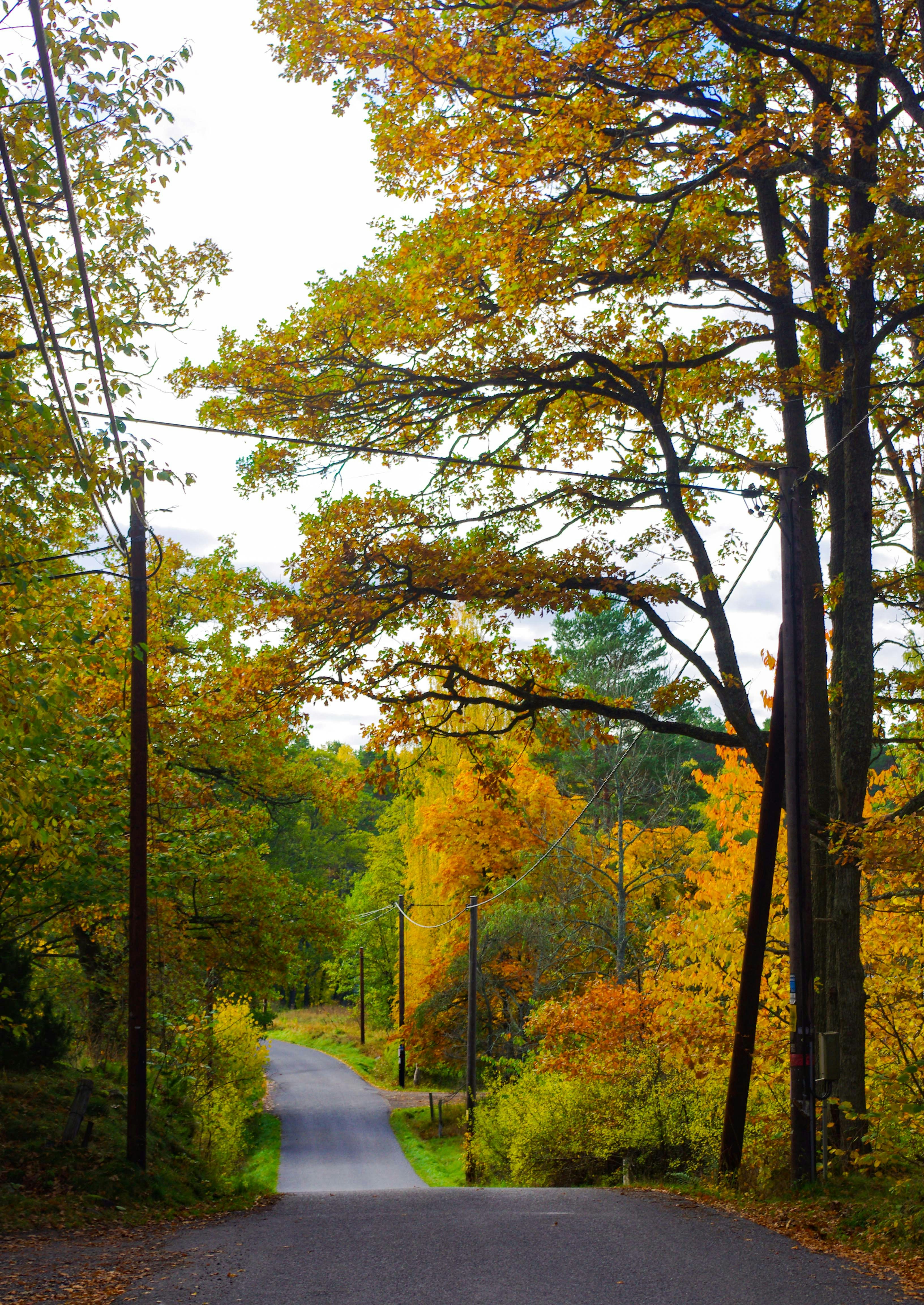 Photo by photosharing1000