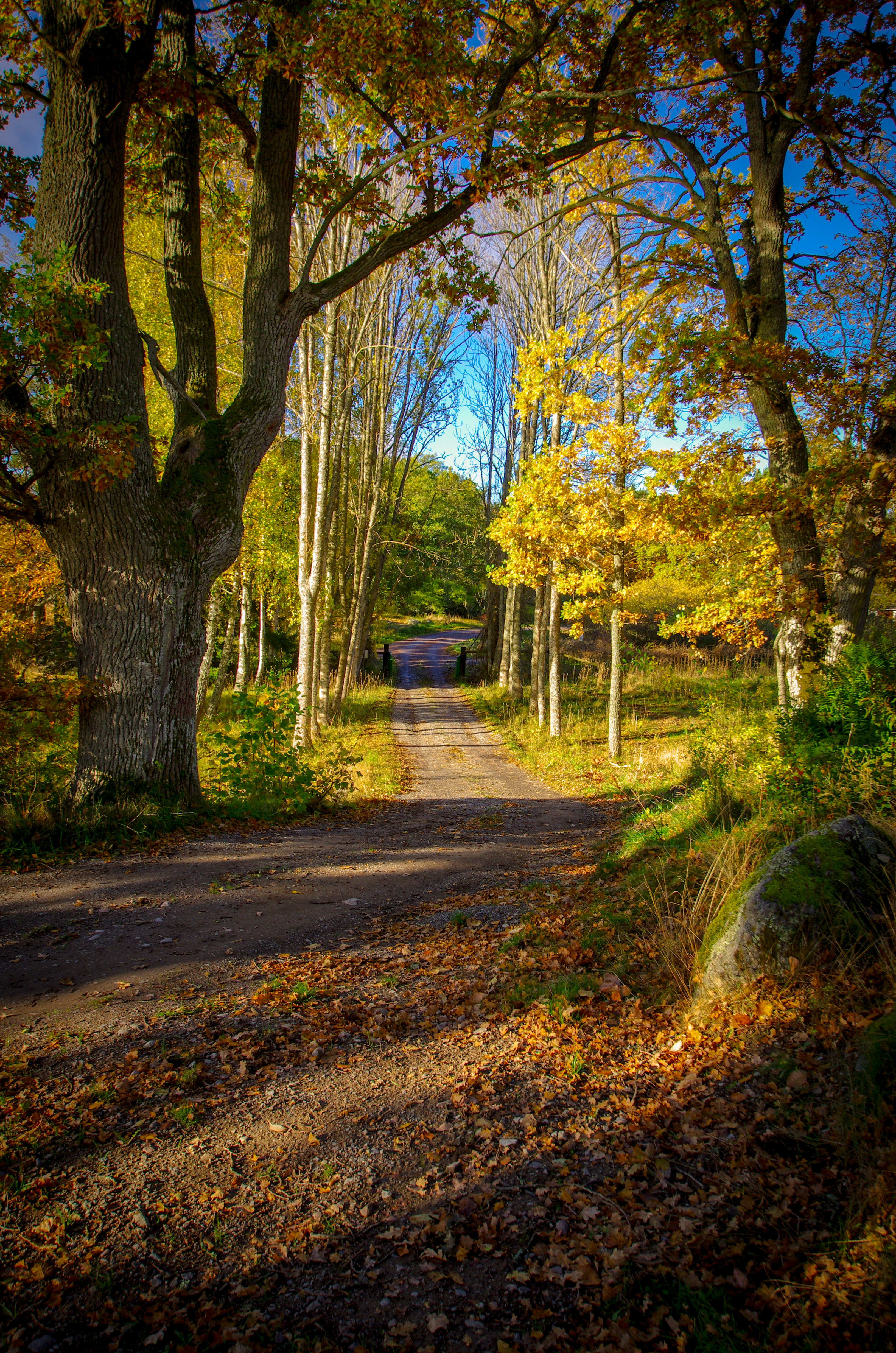 Photo by photosharing1000