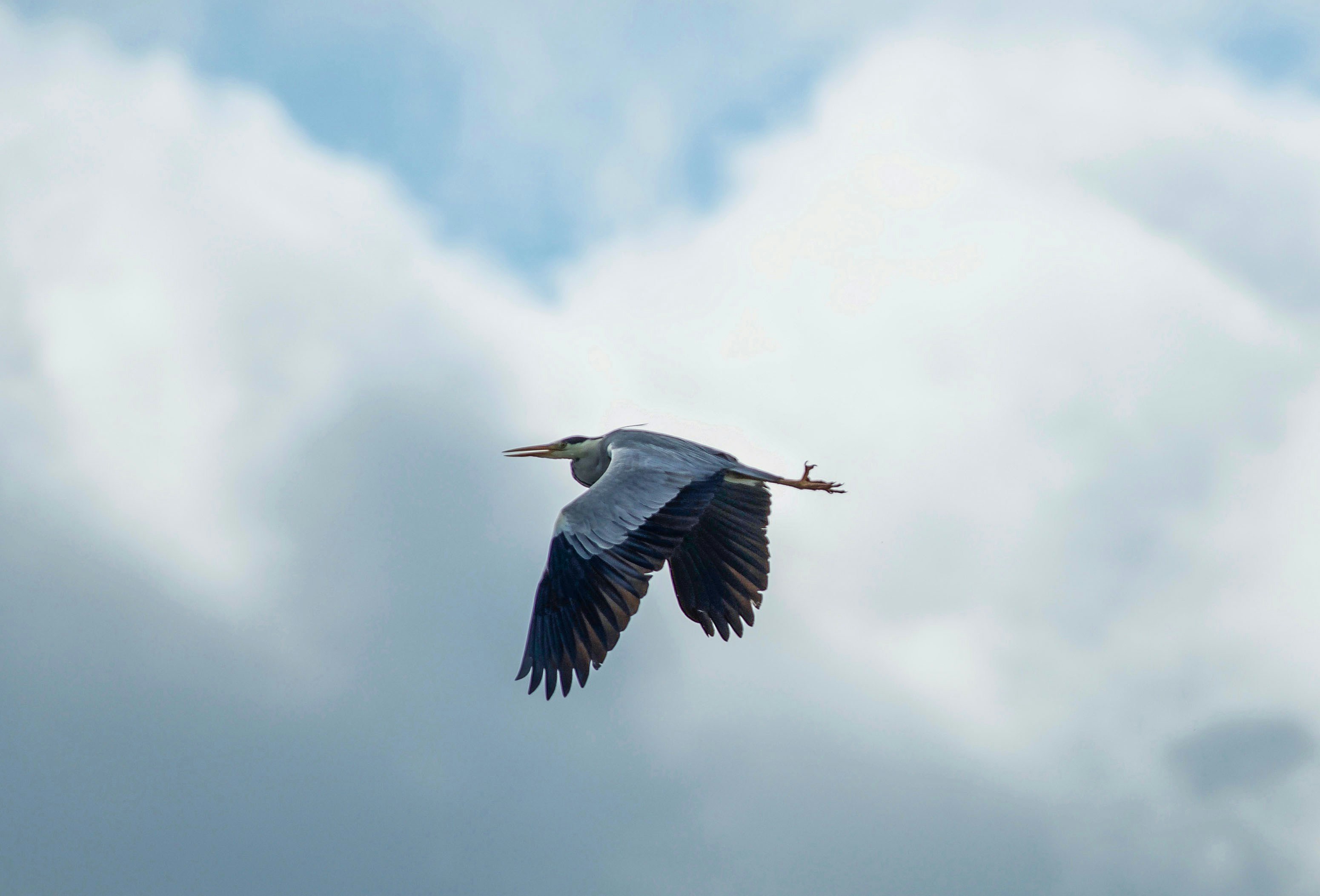 Photo by photosharing1000