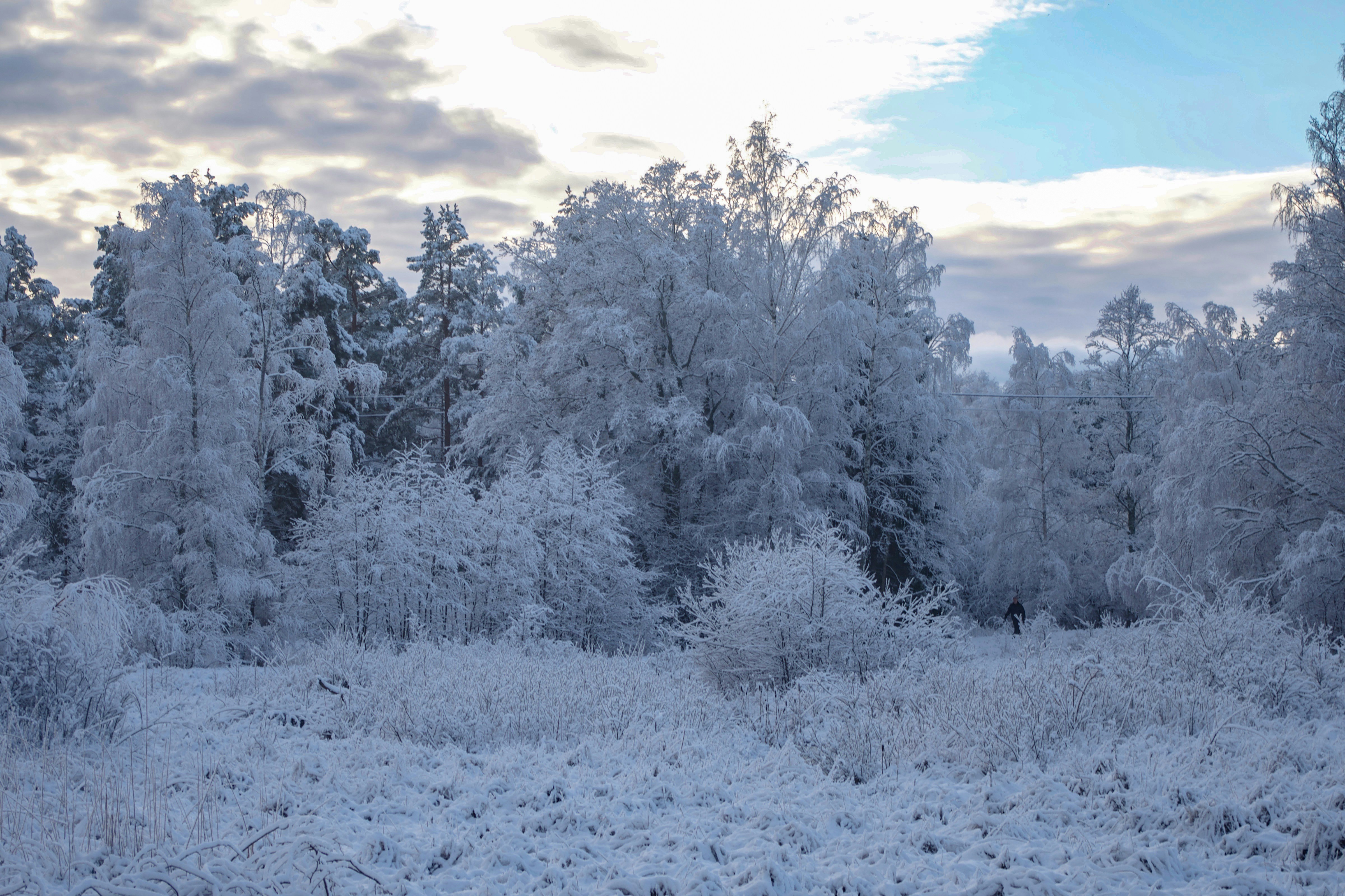 Photo by photosharing1000