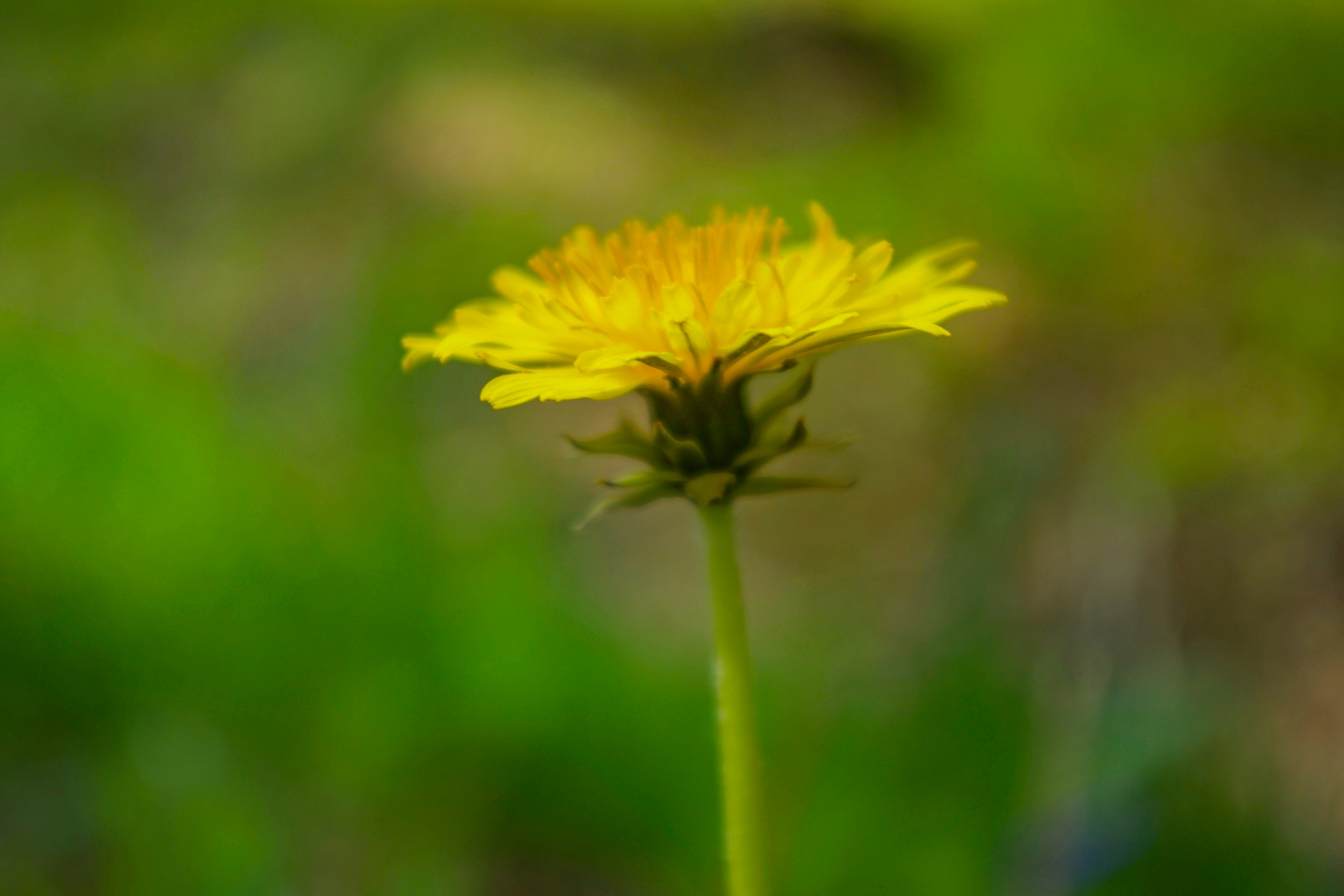 Photo by photosharing1000