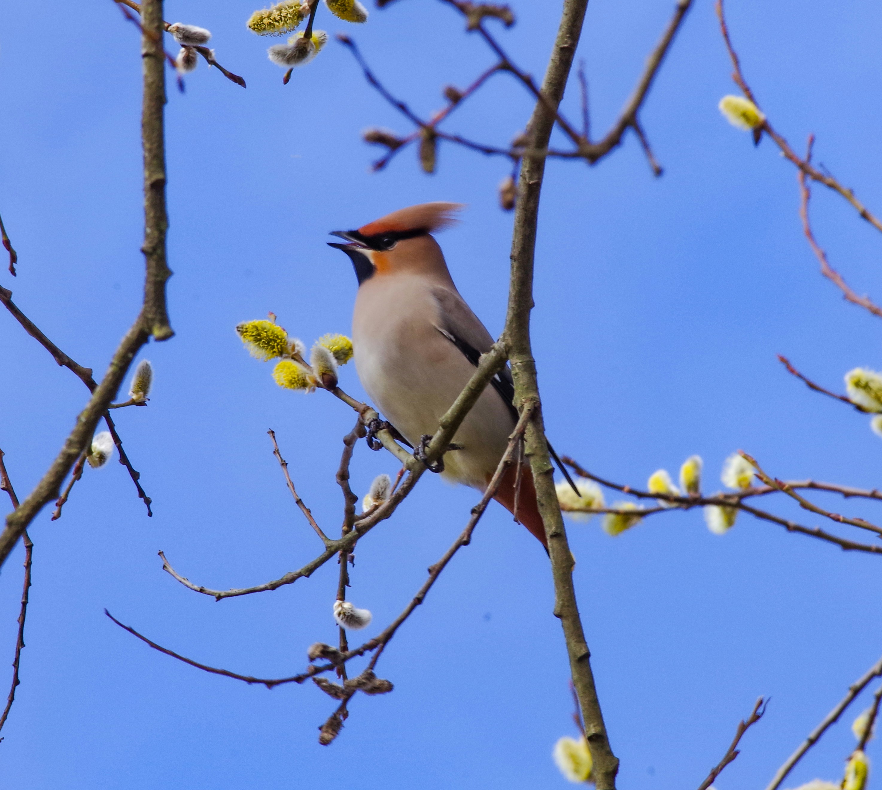 Photo by photosharing1000