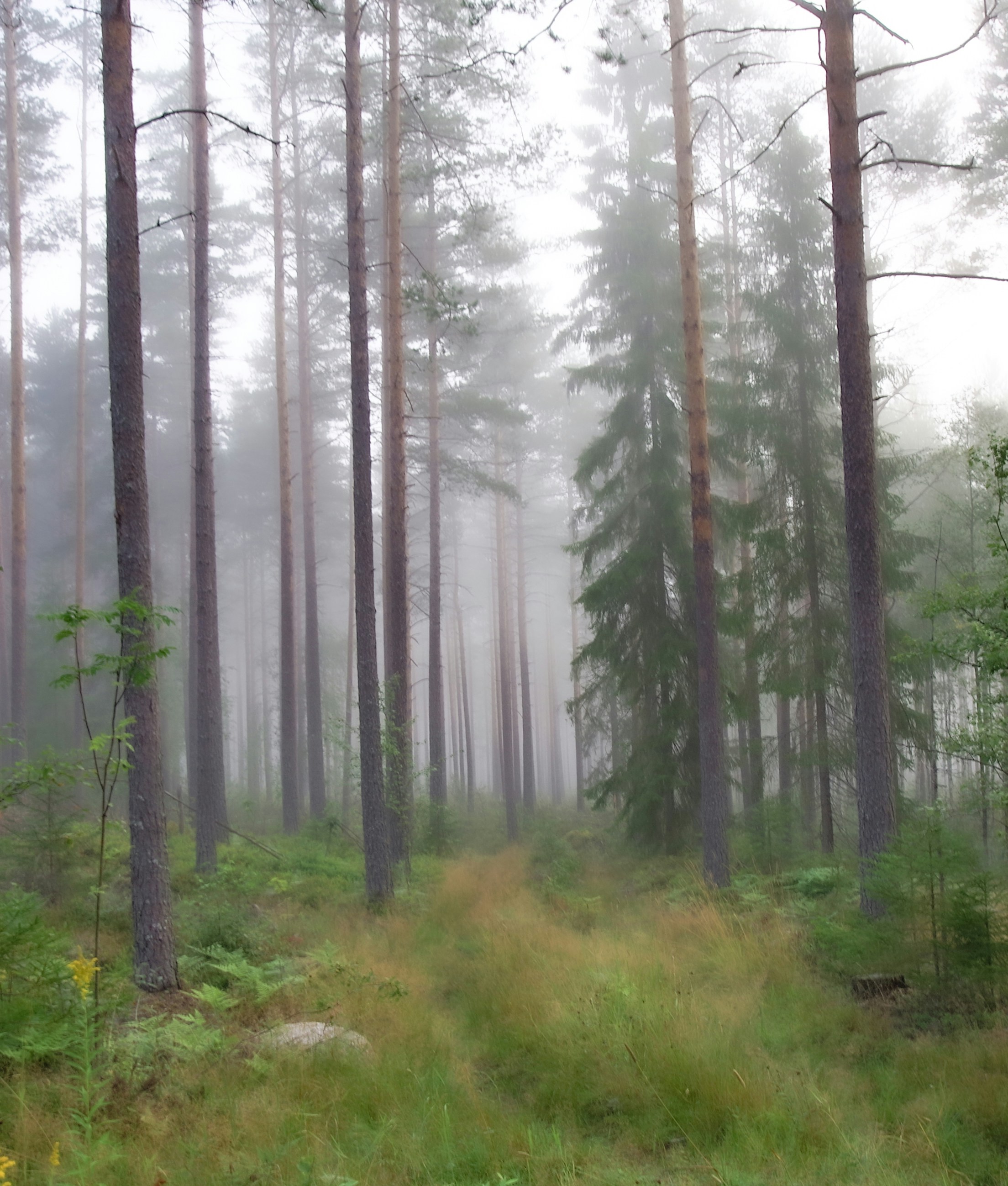 Photo by photosharing1000