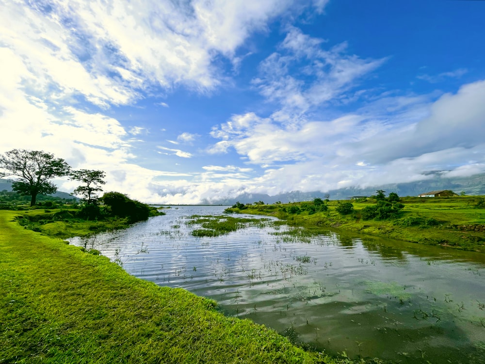 a river with grass and trees