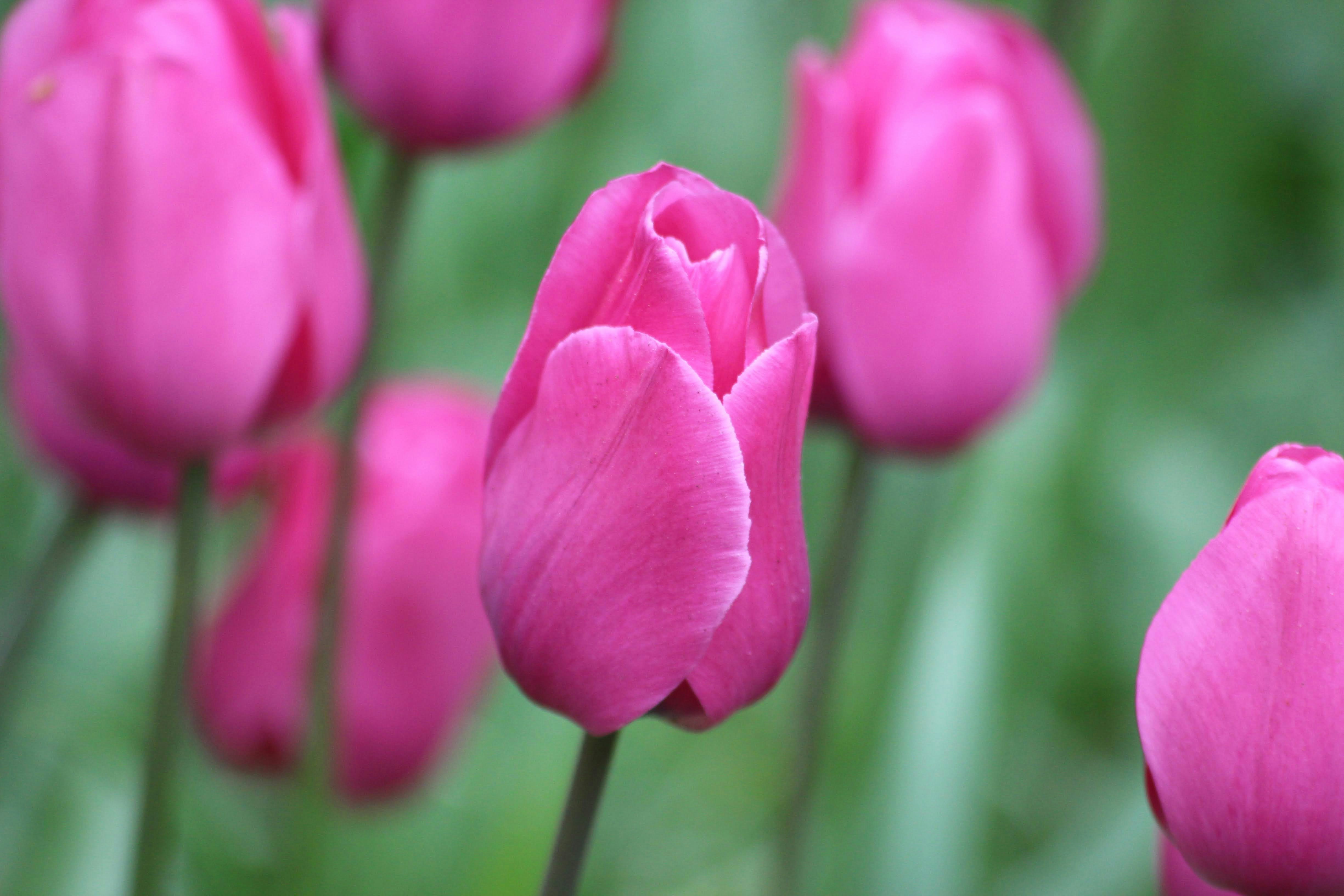 Photo by vanelkphotography