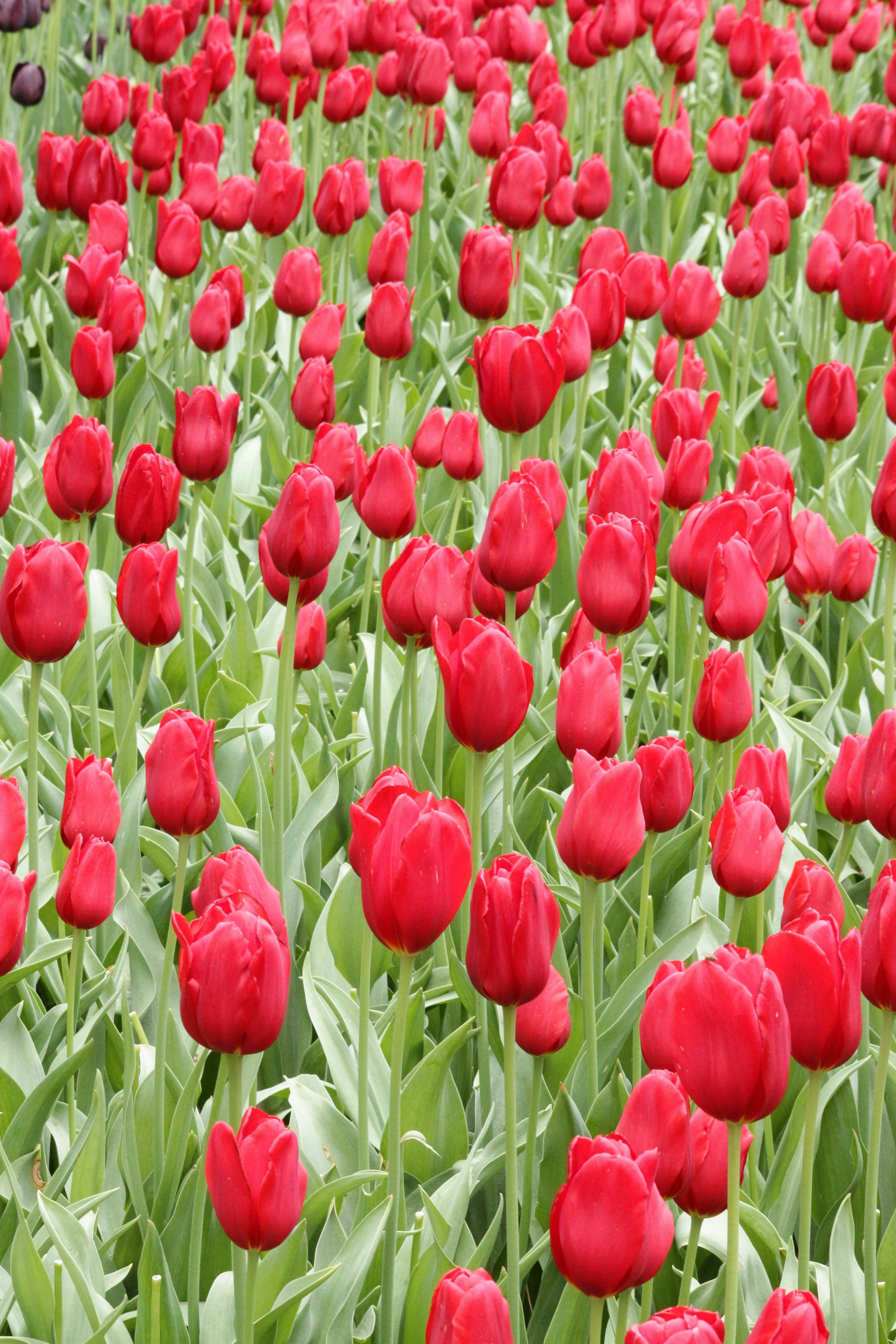 Photo by vanelkphotography