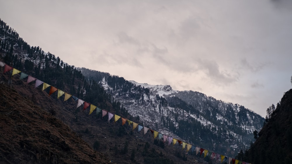 a group of flags on a mountain