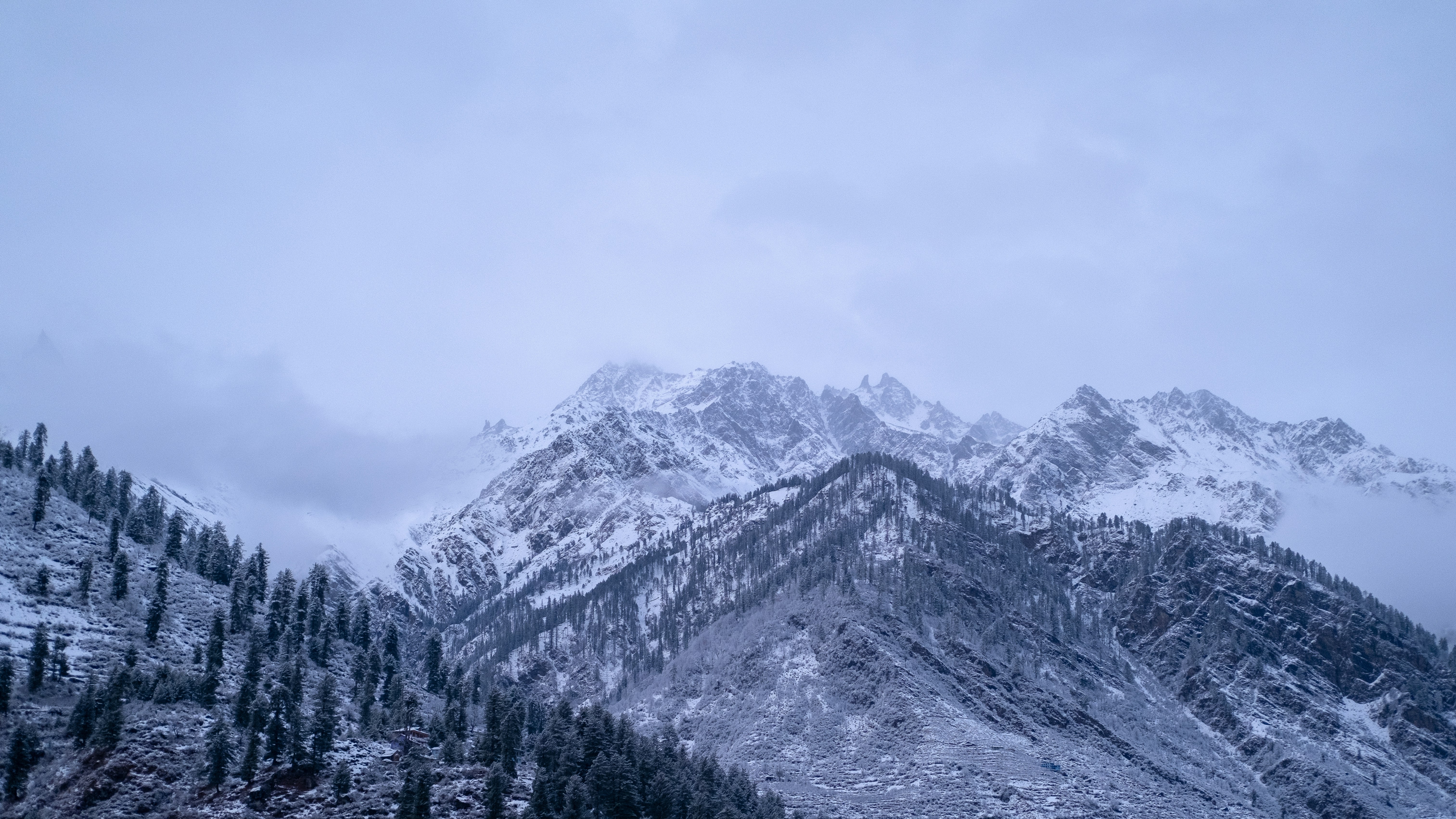 a snowy mountain with trees