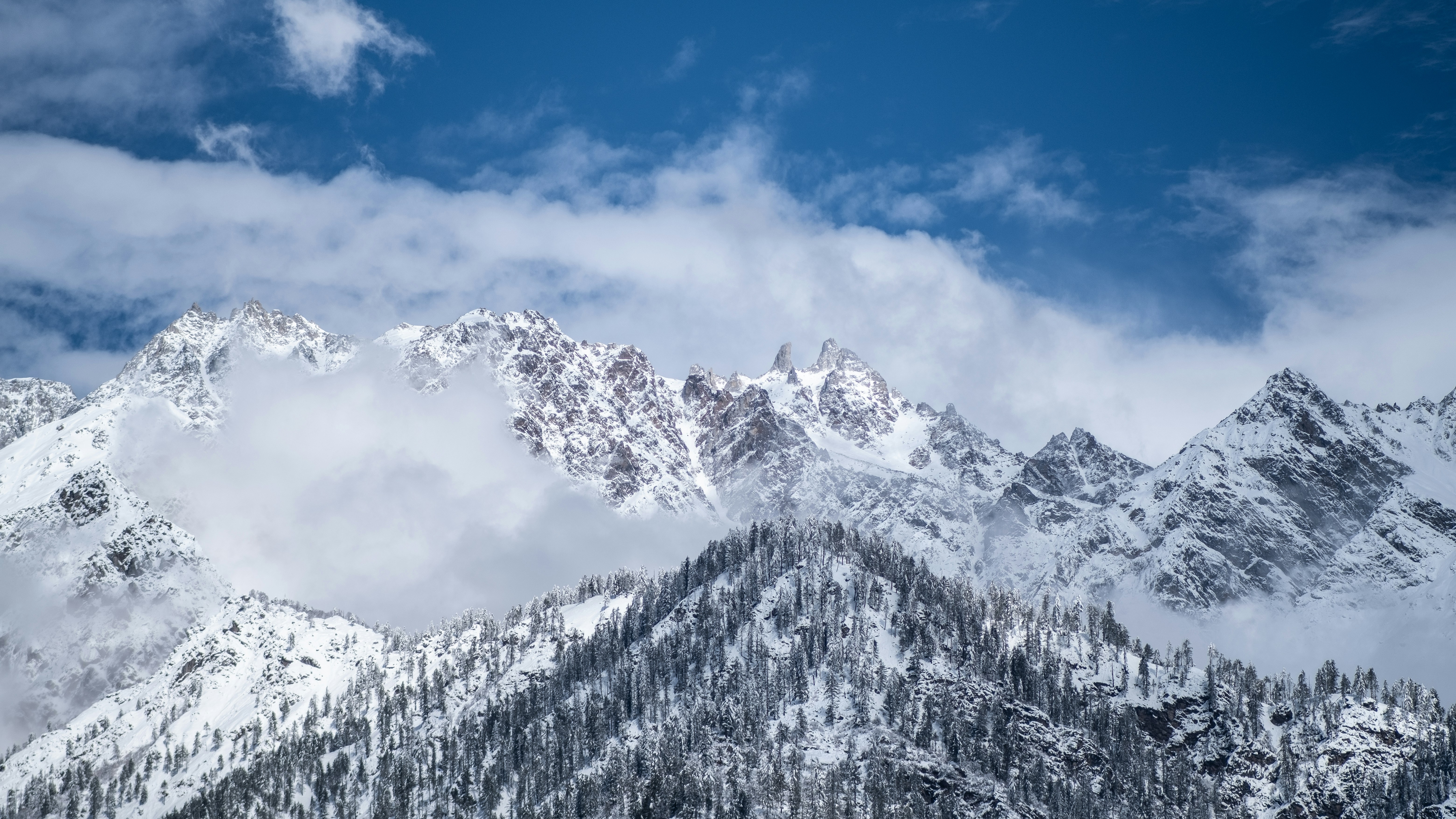 Photo by neonspirit1097