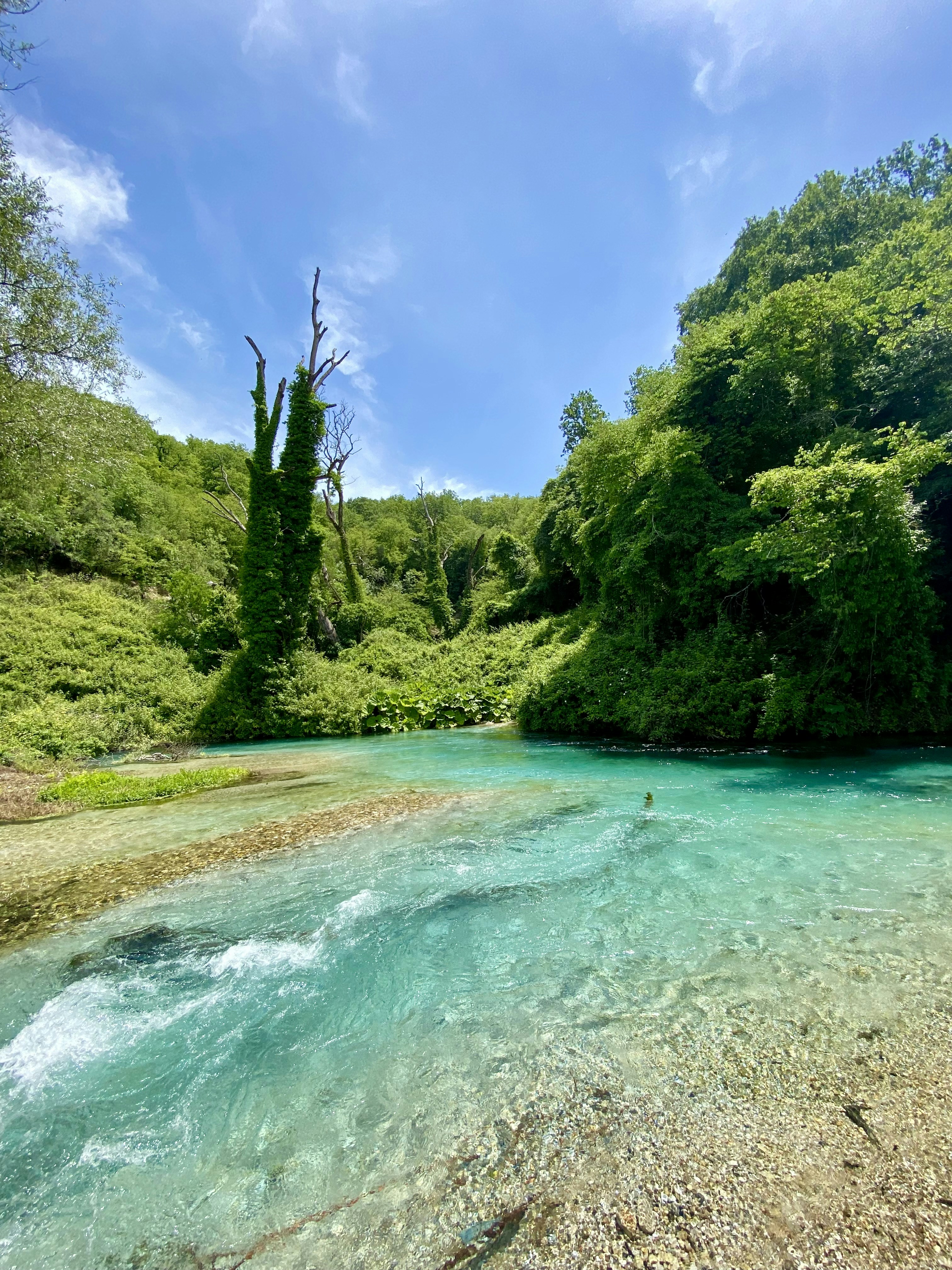 a river with trees on the side