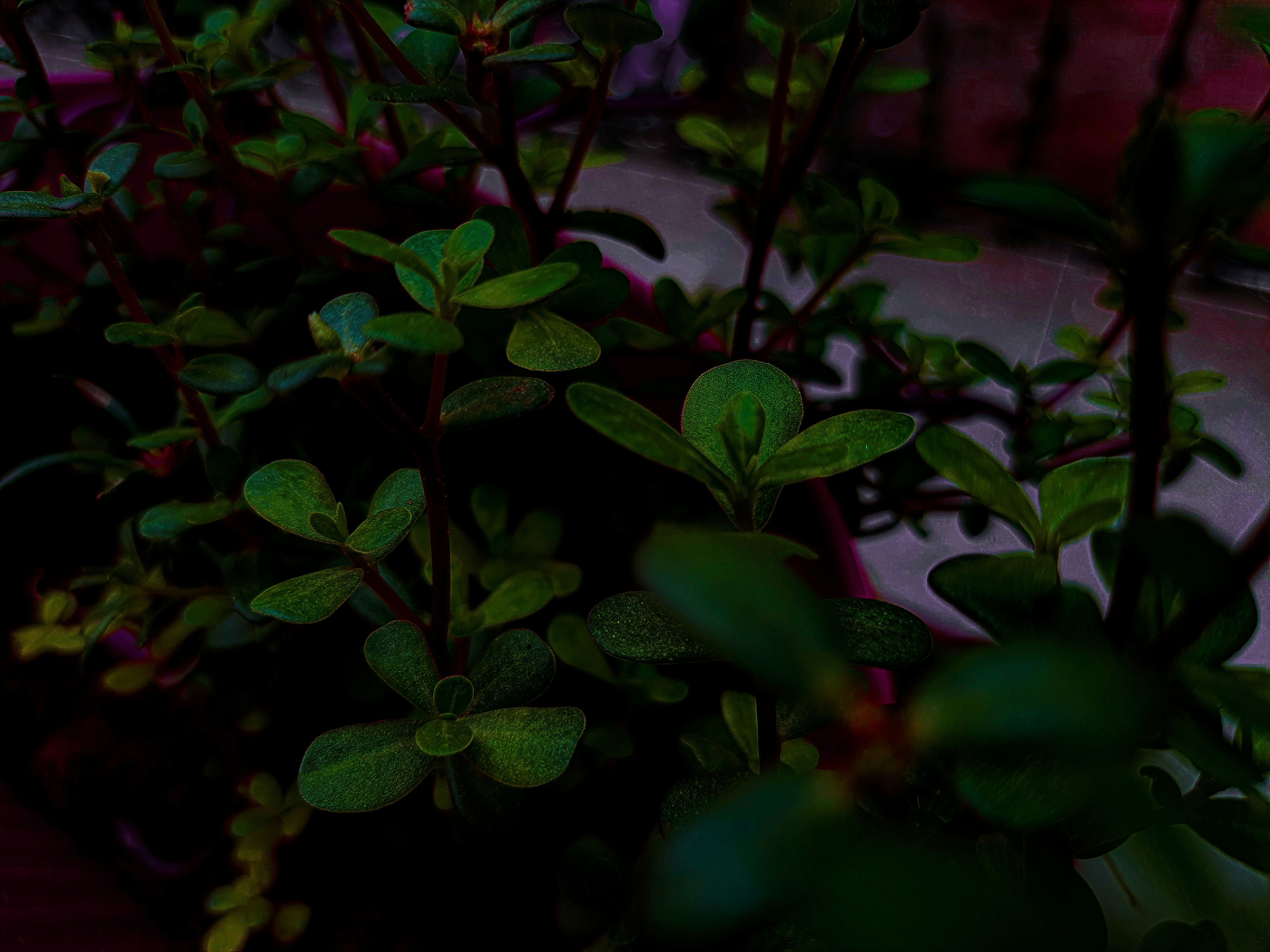 Photo by stavanmacwan9815