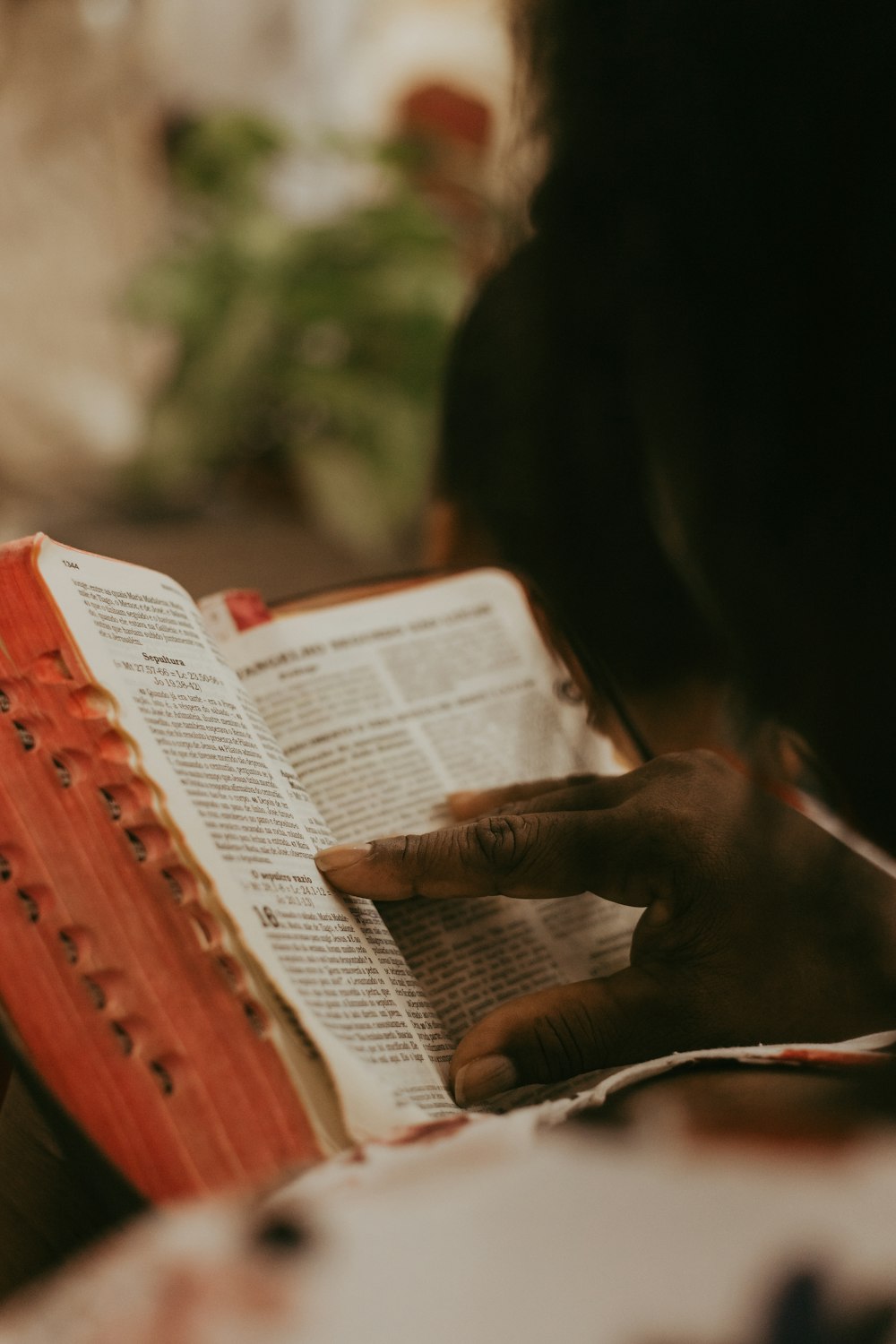 a person reading a book