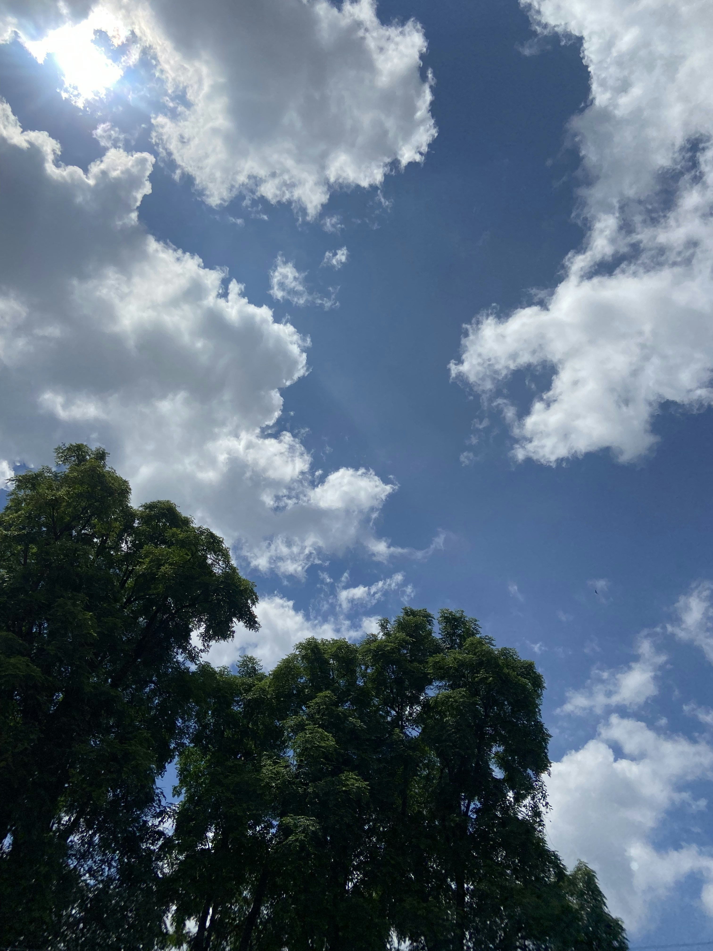 Photo by splashandcolors