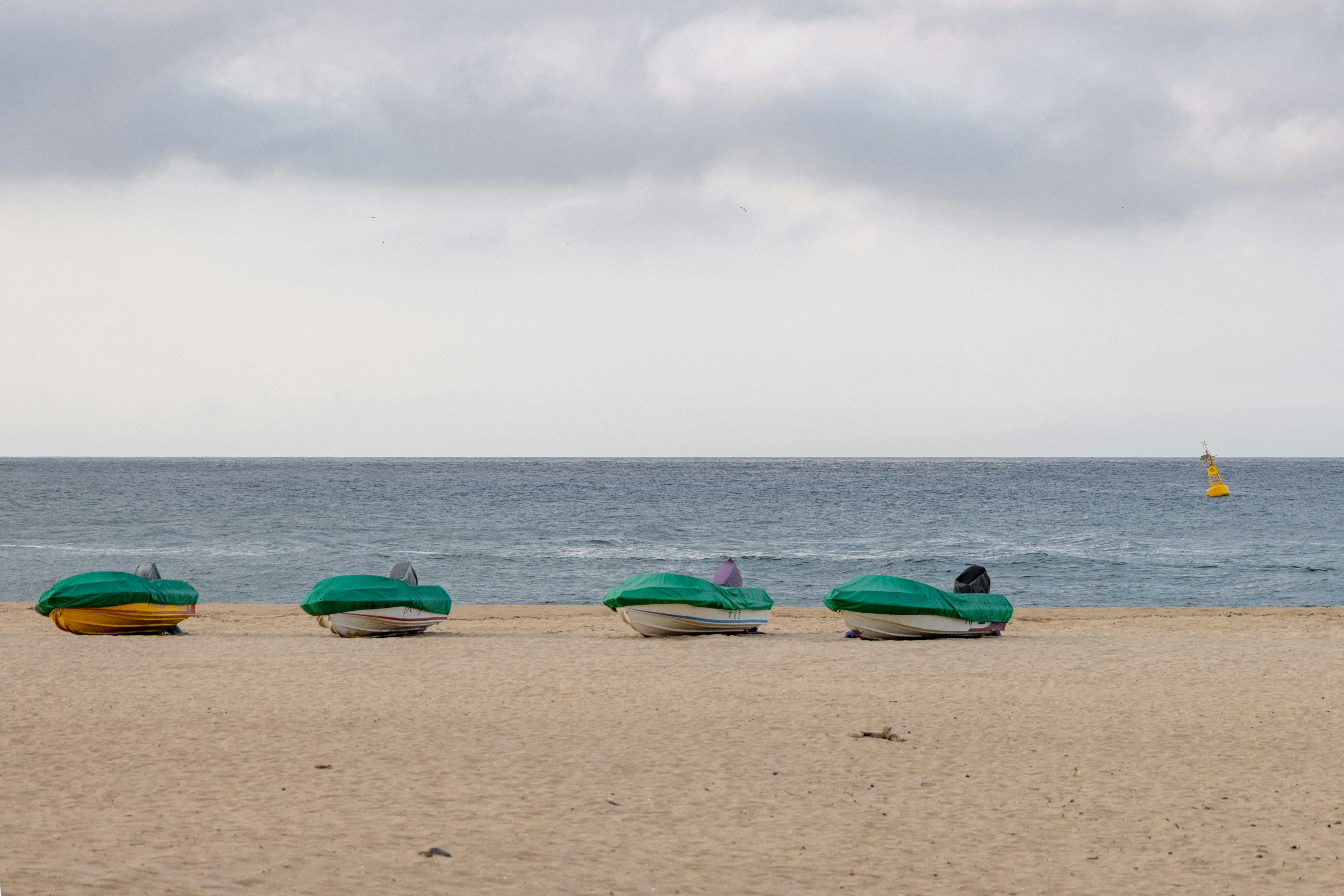 REYLEO Cooler Bag with Wheels displayed on a lively beach