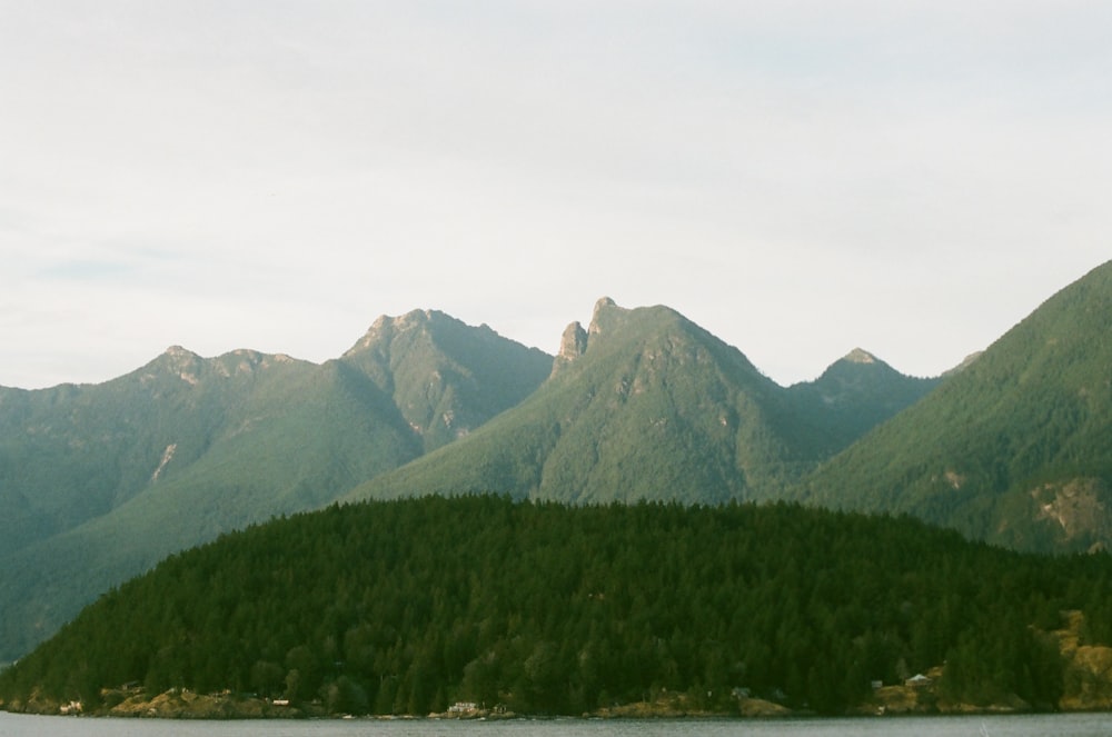 a mountain range with trees