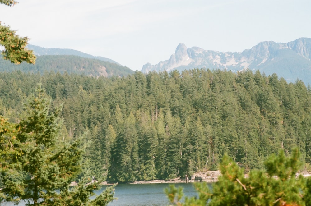 a lake surrounded by trees and mountains