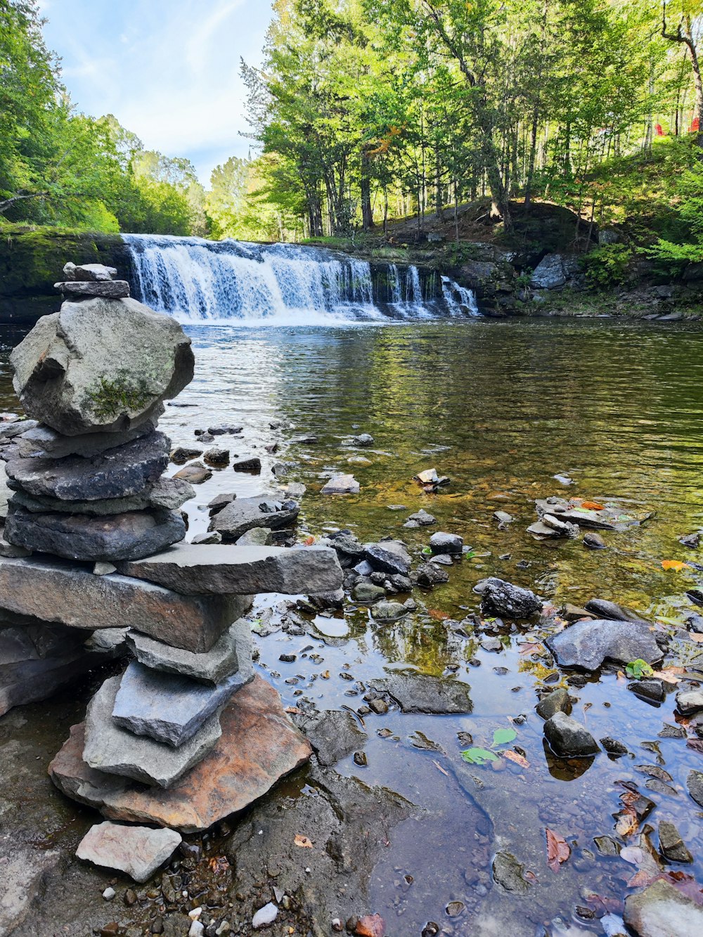 a small waterfall in a forest