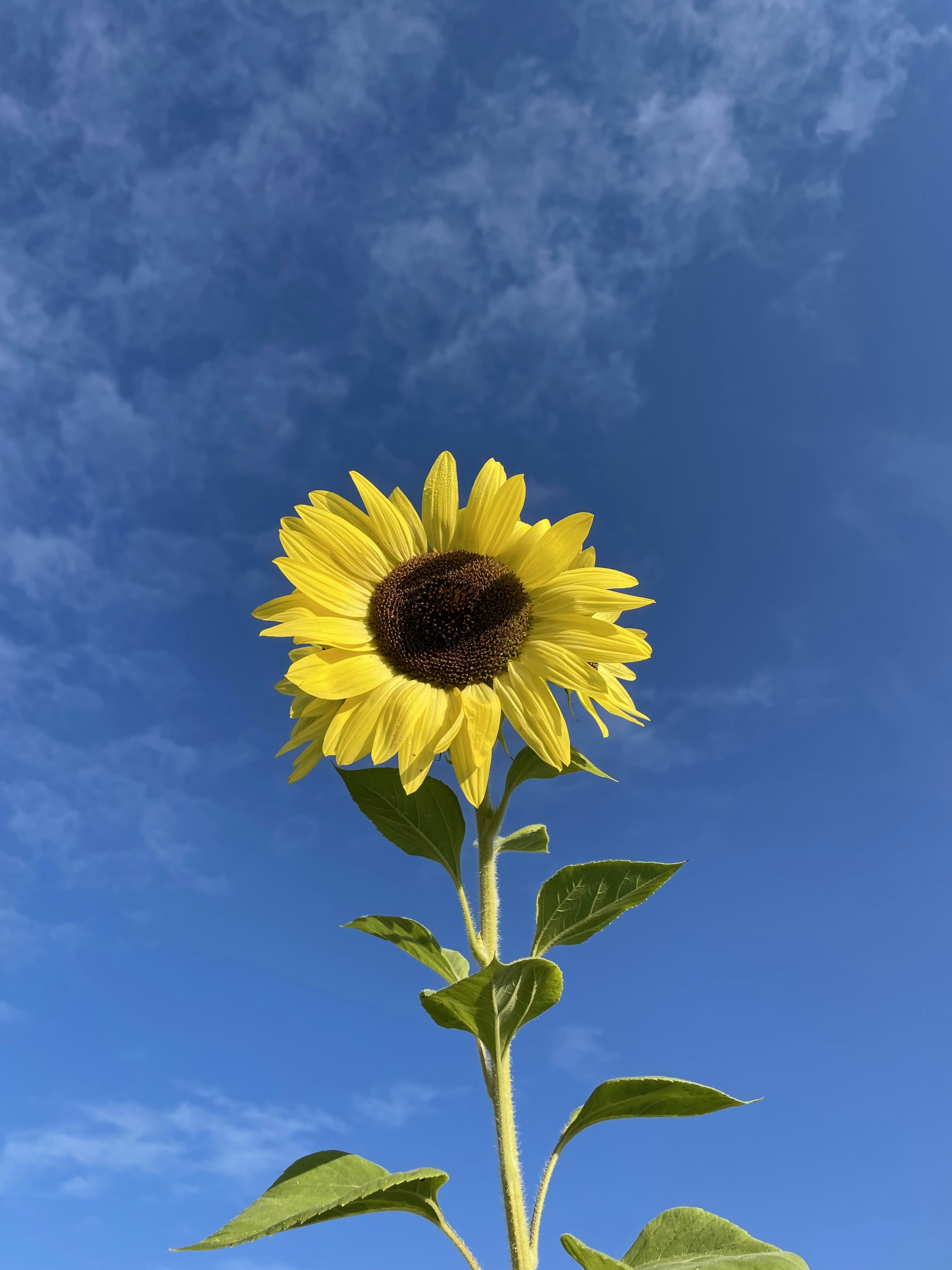 Photo by sabrinaloftus