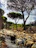 Family enjoying a guided tour among green pastures with goats grazing nearby