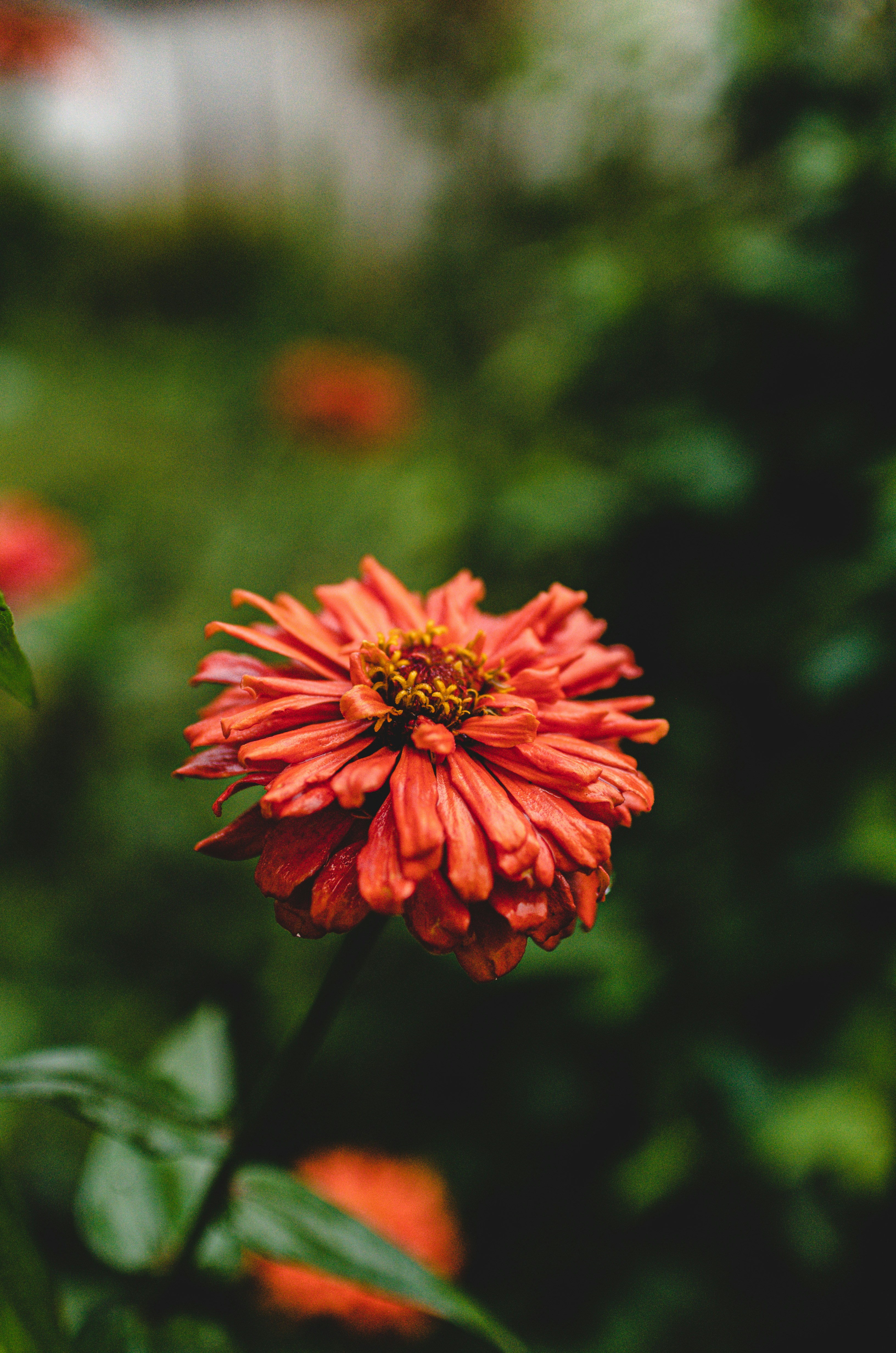 Photo by gamanalice3012