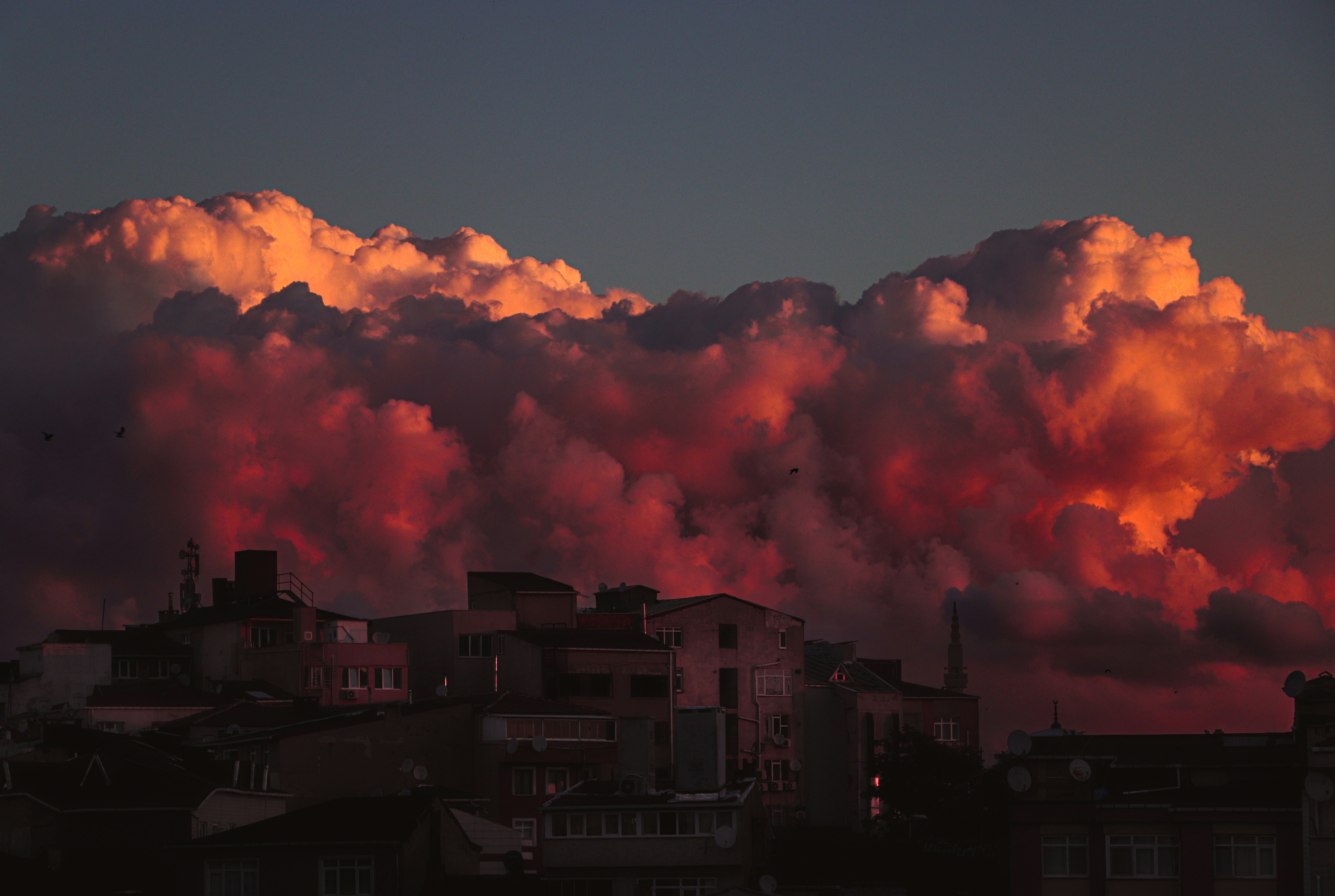 Photo by aysenuryvz