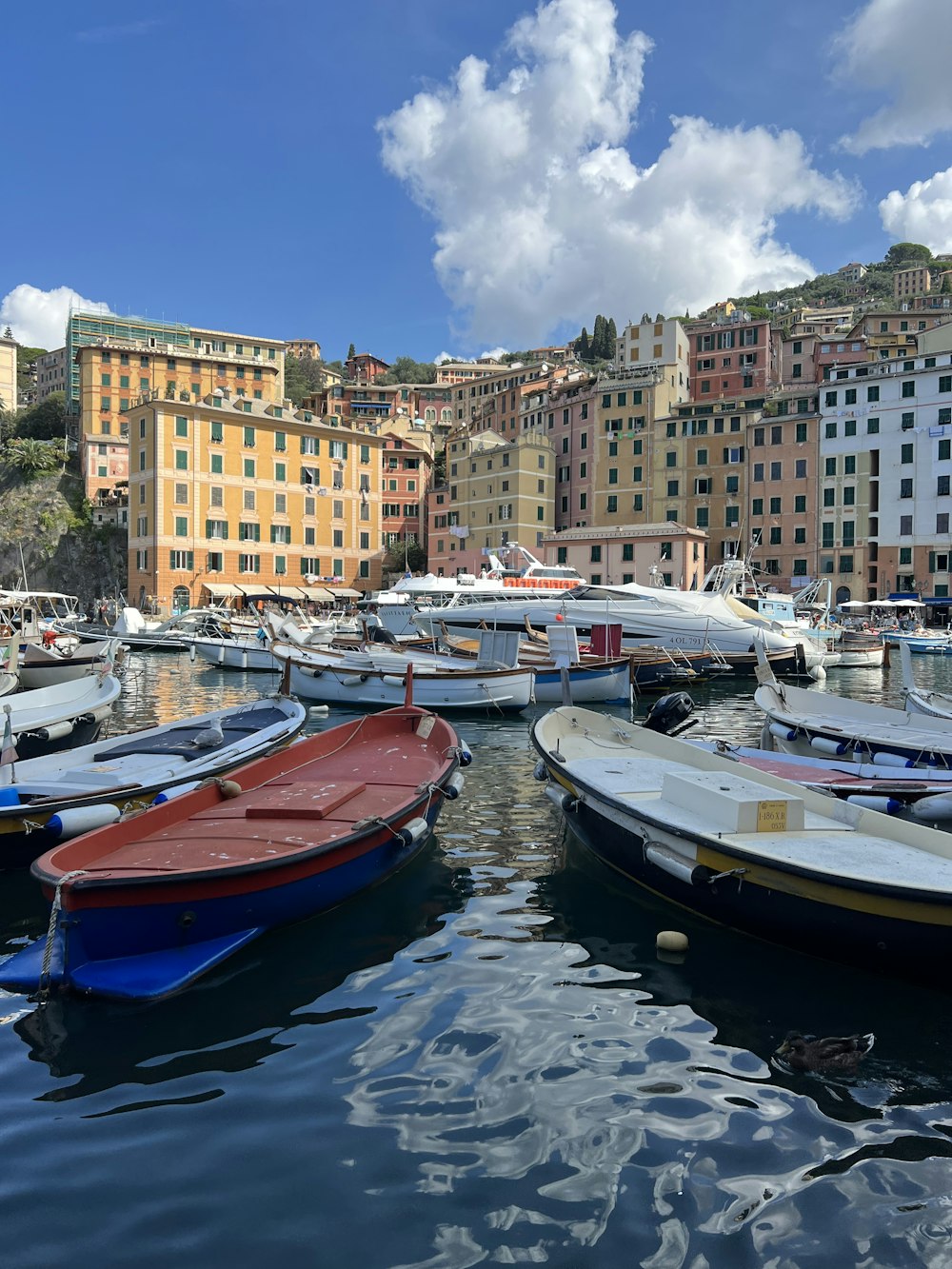 boats docked in a harbor