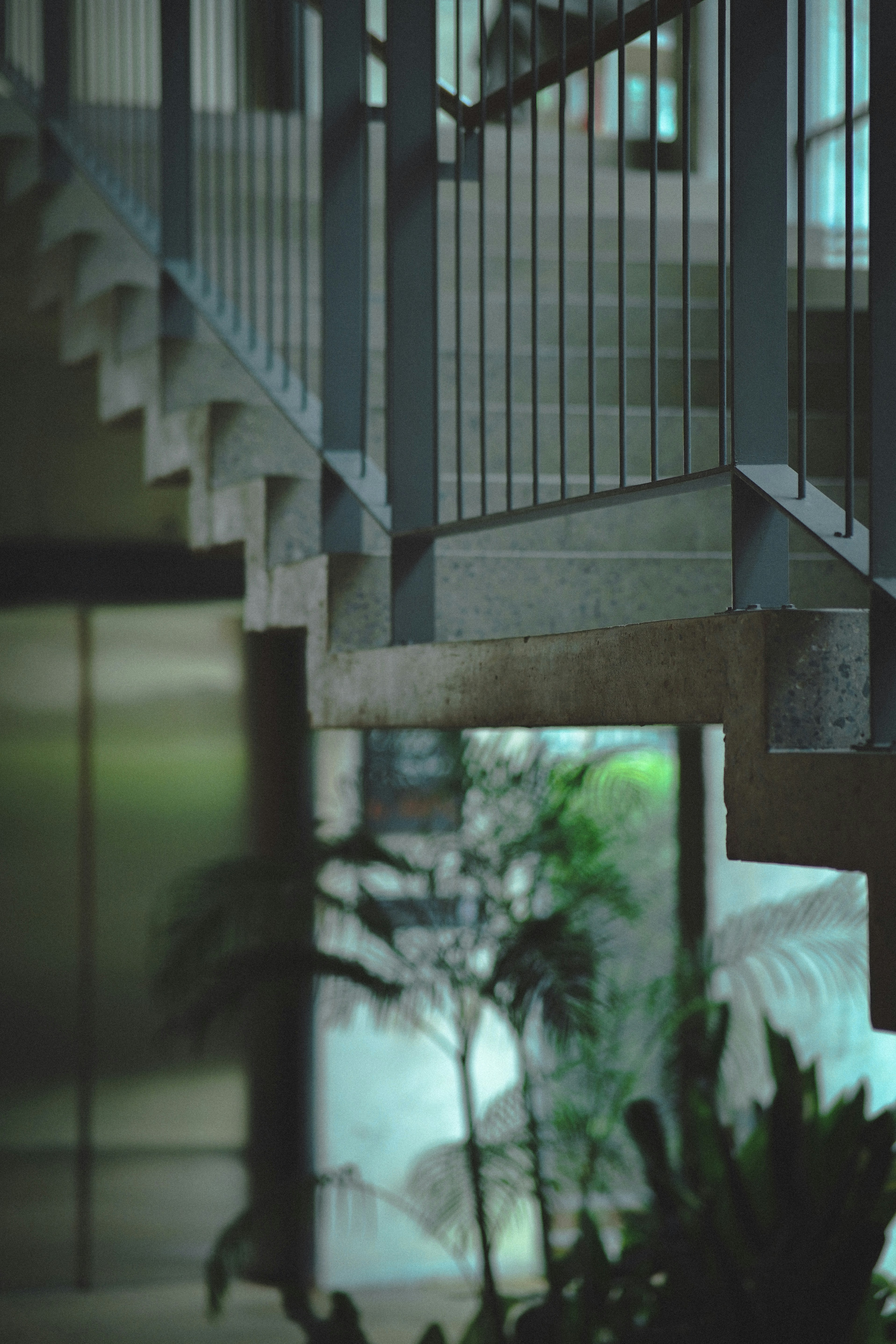 Photo by seedandsower