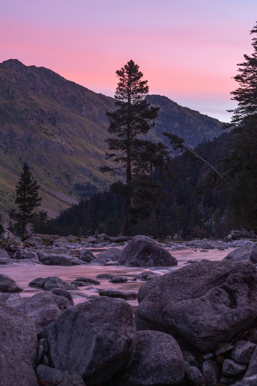 a river running through a valley with trees and mountains in the background