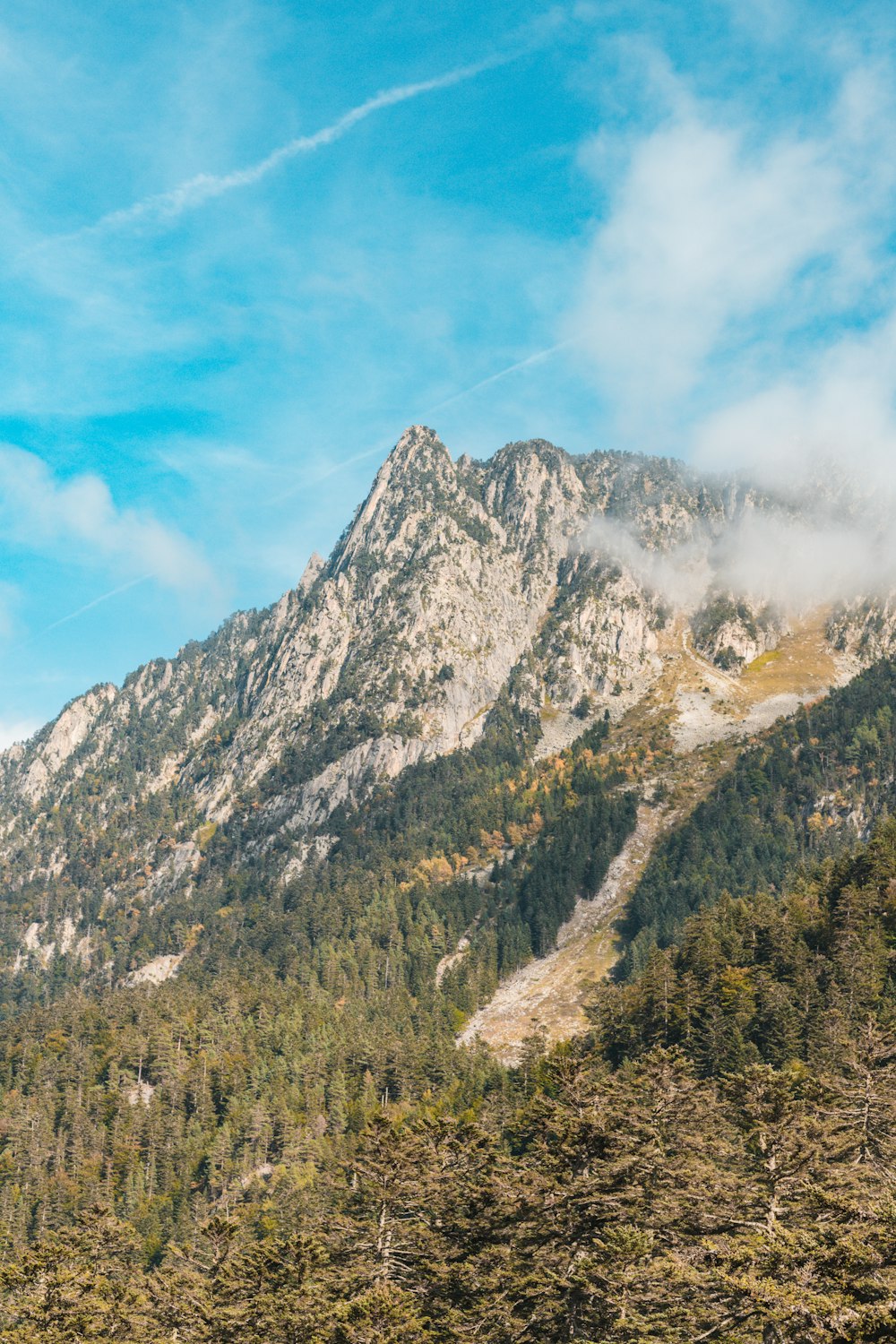 a mountain with trees and blue sky